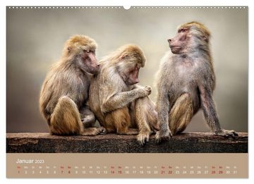 CALVENDO Wandkalender Lieblingstiere - Schönheiten aus dem Tierreich (Premium, hochwertiger DIN A2 Wandkalender 2023, Kunstdruck in Hochglanz)
