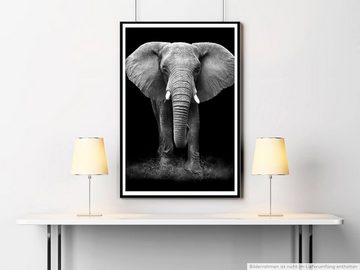 Sinus Art Poster 60x90cm Tierfotografie Poster Großer Elefanten von vorne schwarz weiß