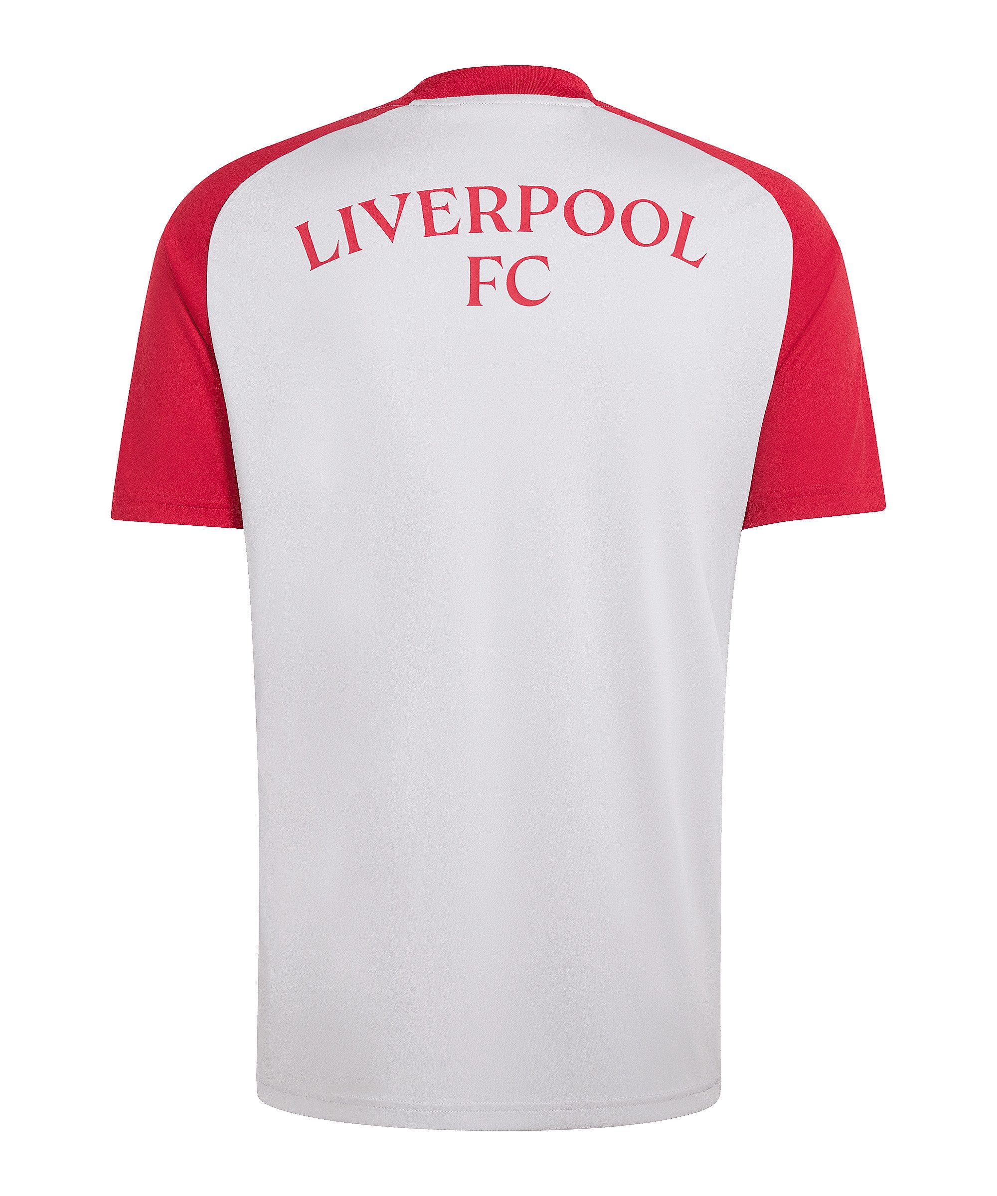 adidas Performance Fußballtrikot adidas Performance Premier League