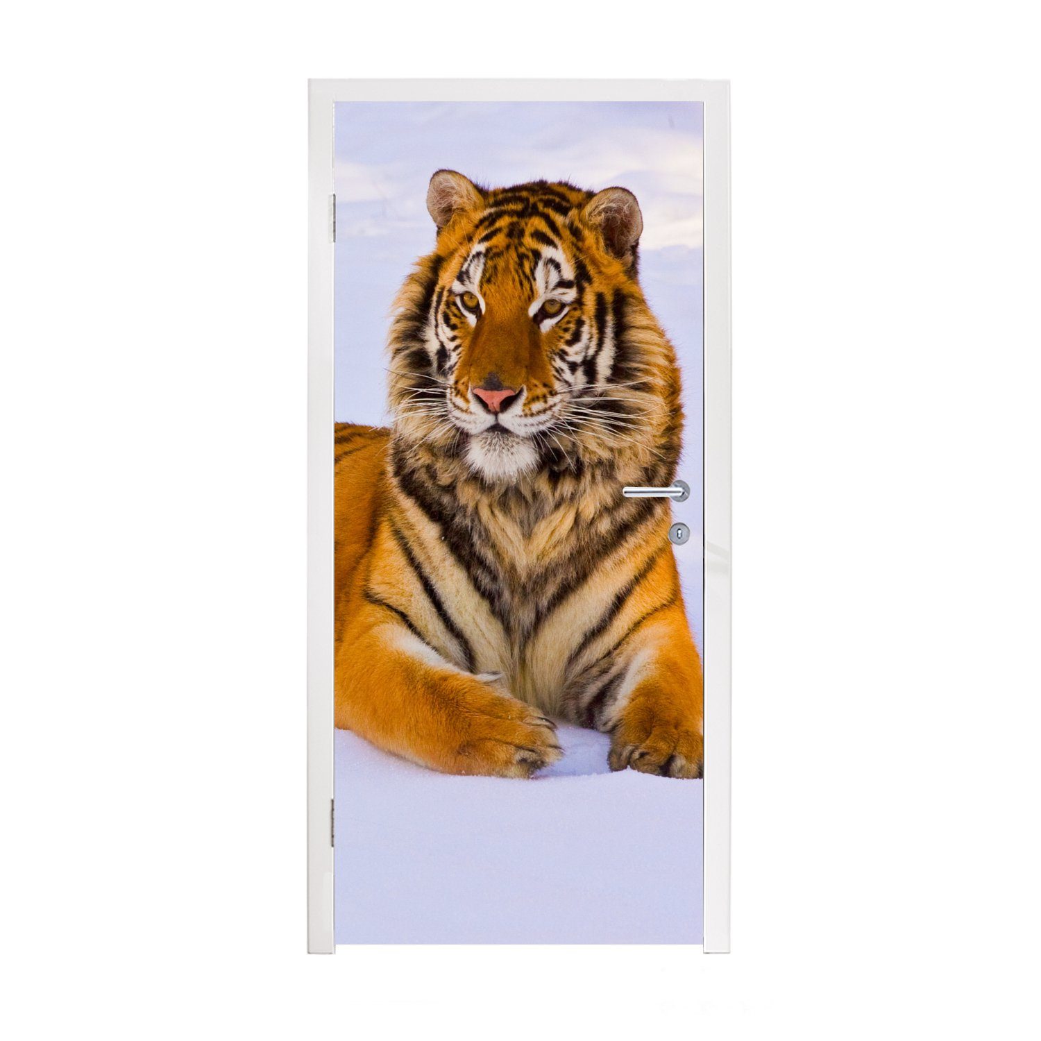 MuchoWow Türtapete Tiger - Schnee - Winter - Tiere, Matt, bedruckt, (1 St), Fototapete für Tür, Türaufkleber, 75x205 cm