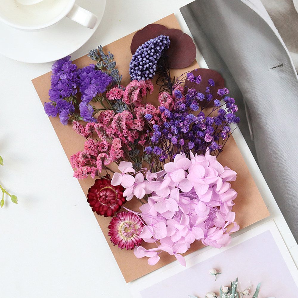 Trockenblume Pampasgras Zum Basteln Mini Trockenblumen, günstig online kaufen