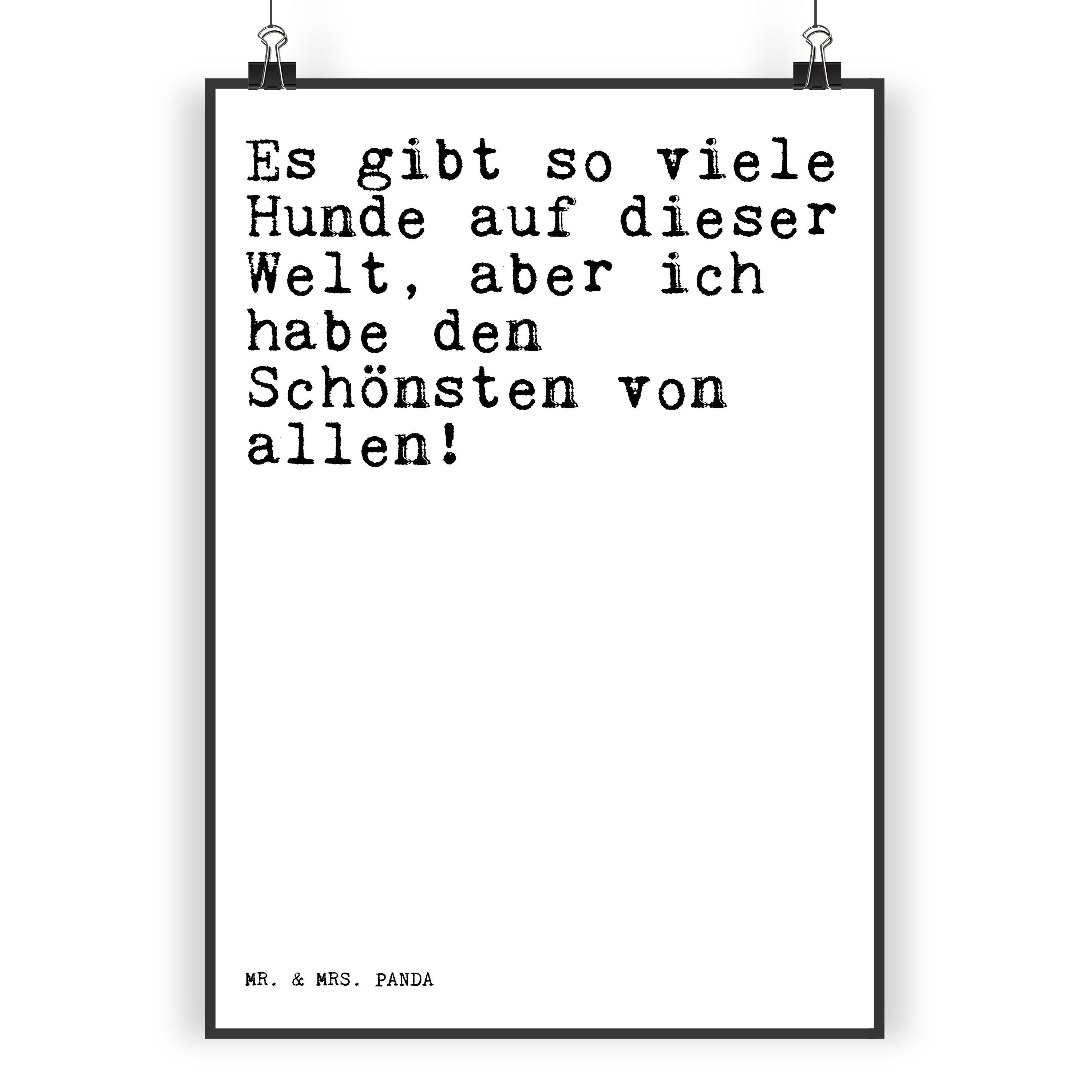 Mr. & Mrs. Panda Poster DIN A3 Es gibt so viele... Weiß Geschenk