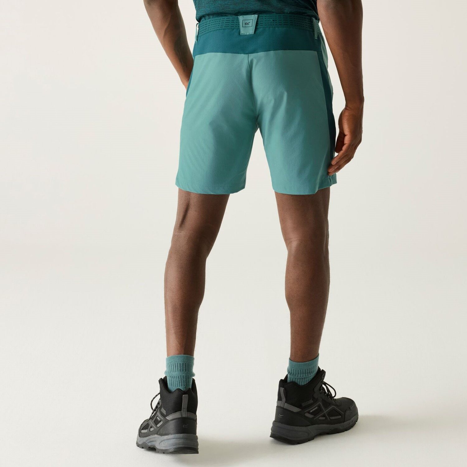 Regatta Shorts Mountain Shorts Kurze Wanderhose (0-tlg)