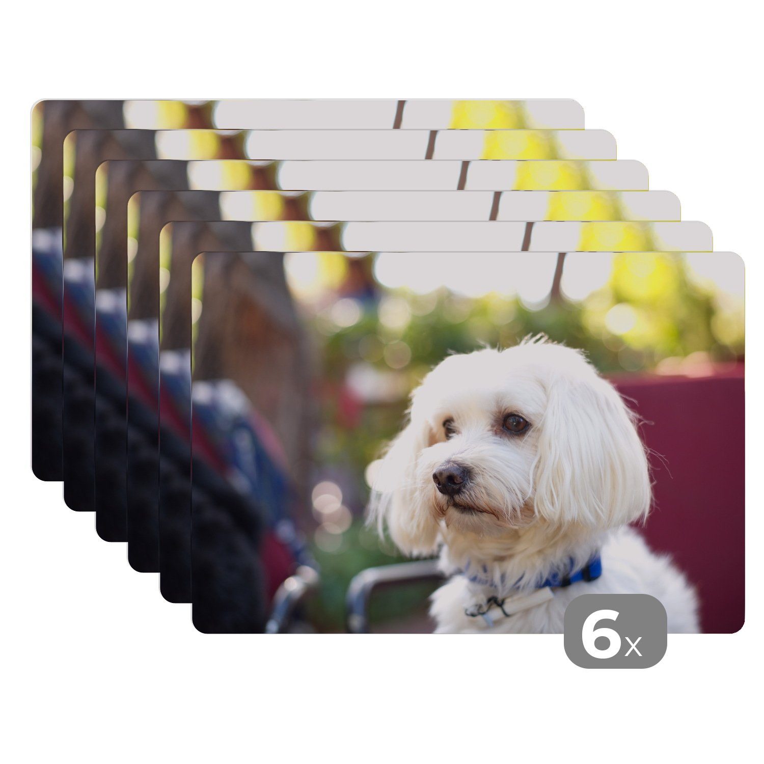 Platzset, Niedlicher Malteser Hund, MuchoWow, (6-St), Platzset, Platzdecken, Platzmatte, Tischmatten, Schmutzabweisend