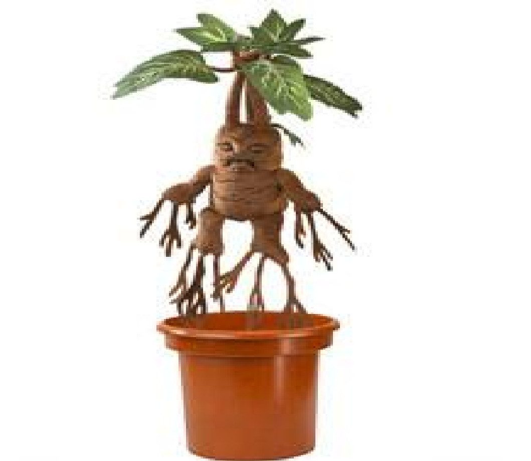 The Noble Collection Plüschfigur Harry Potter Interaktive Plüschfigur Alrau günstig online kaufen