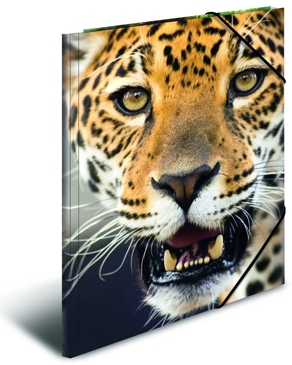 HERMA Fächermappe Gummizugmappe A4 PP (Polypropylen) Leopard
