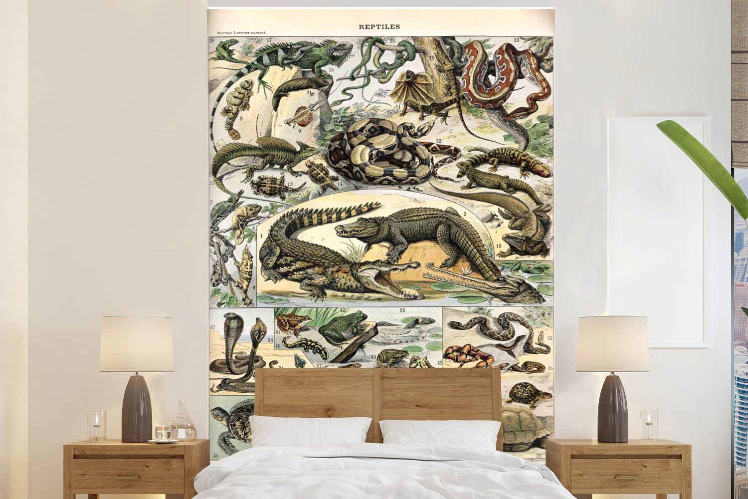 Tiere für St), (3 Natur Tapete Reptilien, Montagefertig Matt, Wohnzimmer, bedruckt, Wandtapete Vinyl - - Fototapete MuchoWow