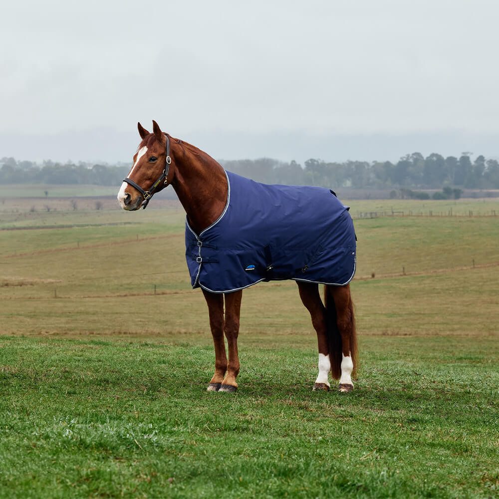 WeatherBeeta Pferde-Regendecke Weatherbeeta Comfitec Tyro Turnout Standard Neck 50g