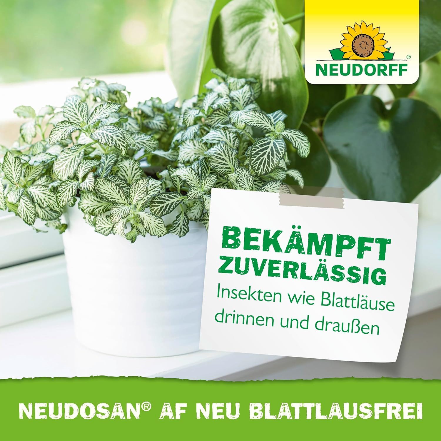 Neudorff Insektenspray Neudosan AF Neu Blattlausfrei 500 ml, 500 ml, Anwendungsfertiges Spray zur effektiven Bekämpfung