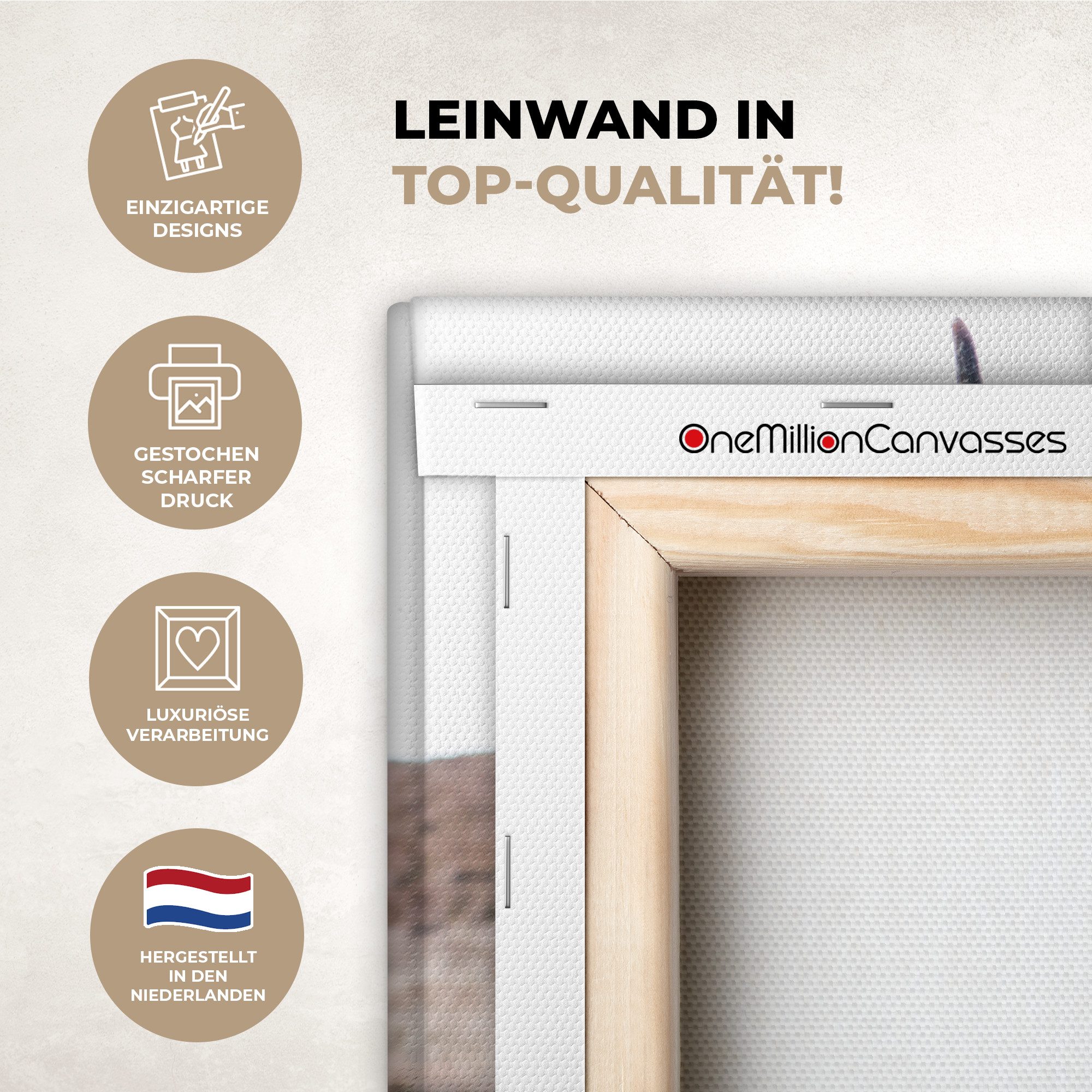 OneMillionCanvasses® Leinwandbild Panorama Schottische Highlander - Landschaft - Kuh - Braun - Tiere - N, Fotodruck (1 St), Wandbild, Deko Schlafzimmer Wohnzimmer Flur 40x20 cm