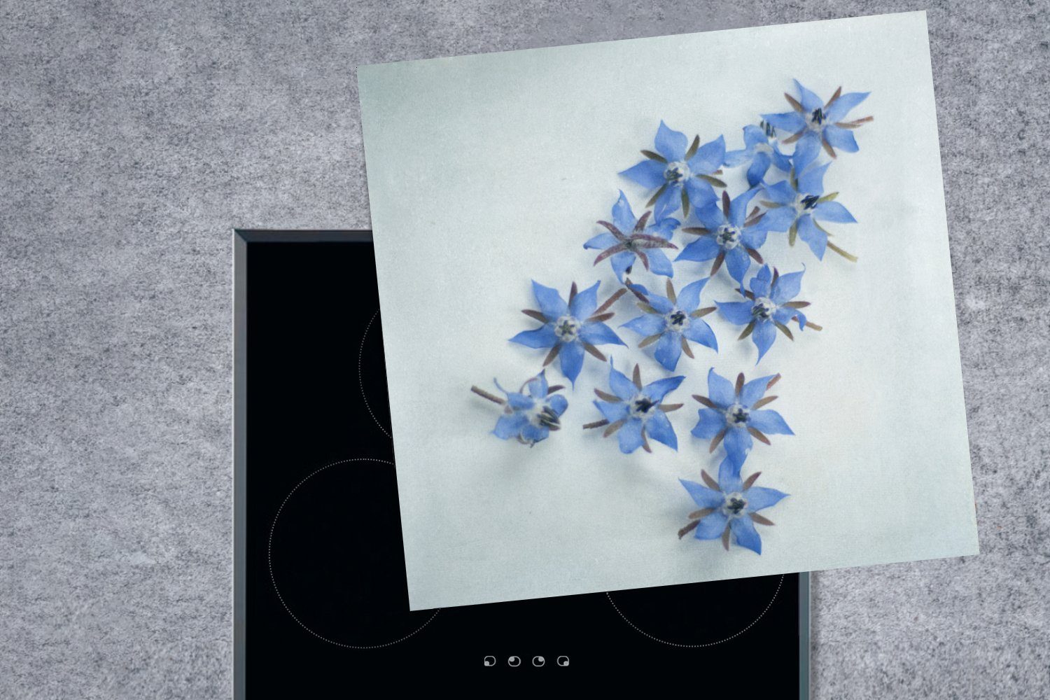 MuchoWow cm, Vinyl, 78x78 Arbeitsplatte Blaue auf tlg), hellblauem (1 küche Ceranfeldabdeckung, für Hintergrund, Borretschblüten Herdblende-/Abdeckplatte