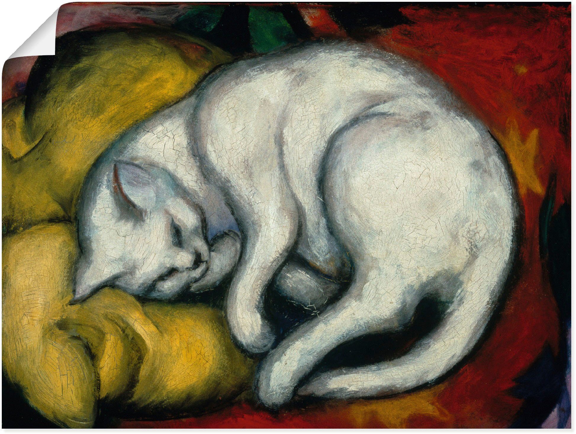 Poster (1 Größen 1912, Wandbild Leinwandbild, Haustiere oder St), weisse Die Katze. als Artland Wandaufkleber in versch. Alubild,