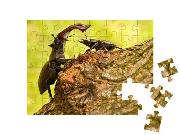 puzzleYOU Puzzle Männl. Hirschkäfer mit kleinerem weibl. Exemplar, 48 Puzzleteile, puzzleYOU-Kollektionen Käfer, Insekten & Kleintiere