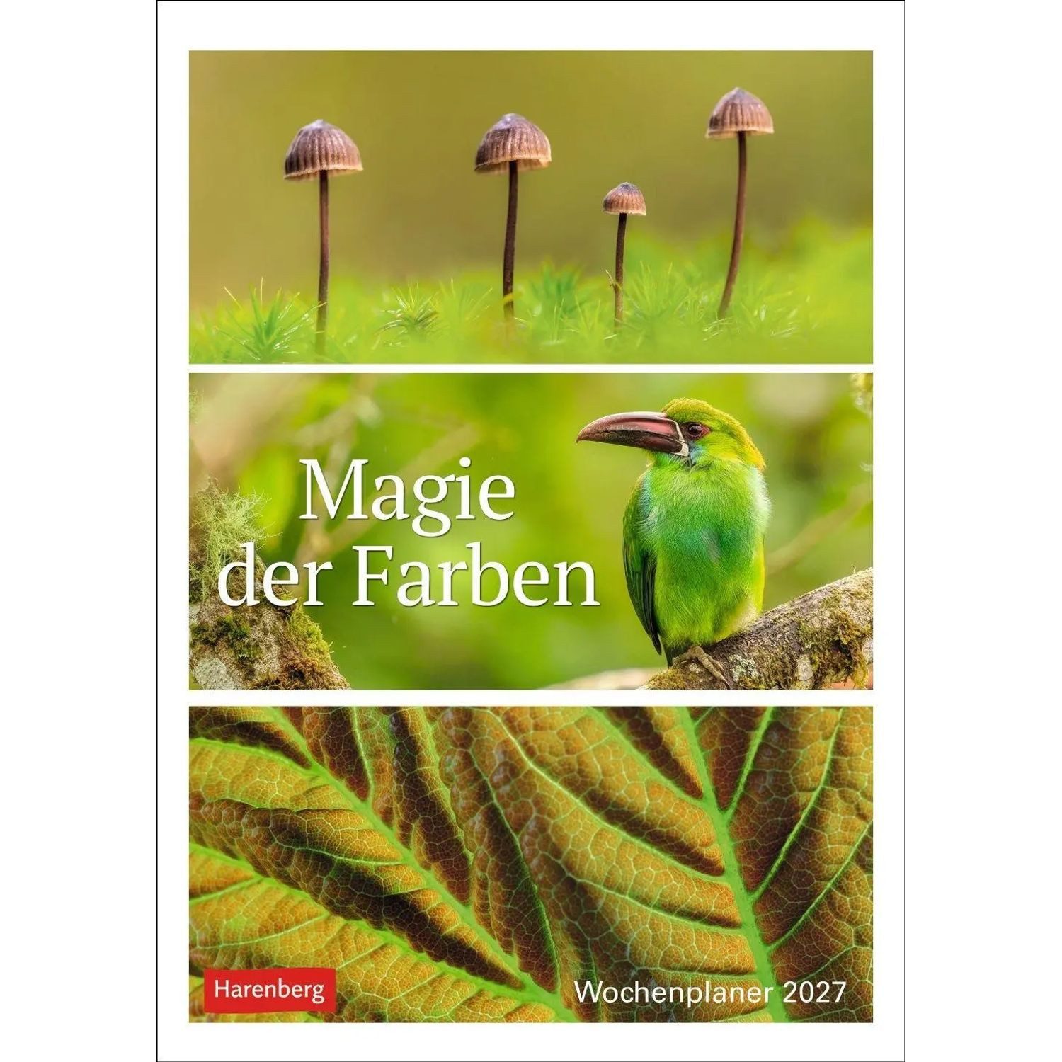 Harenberg Kalender Verlag Wandkalender Magie der Farben Wochenplaner 2027