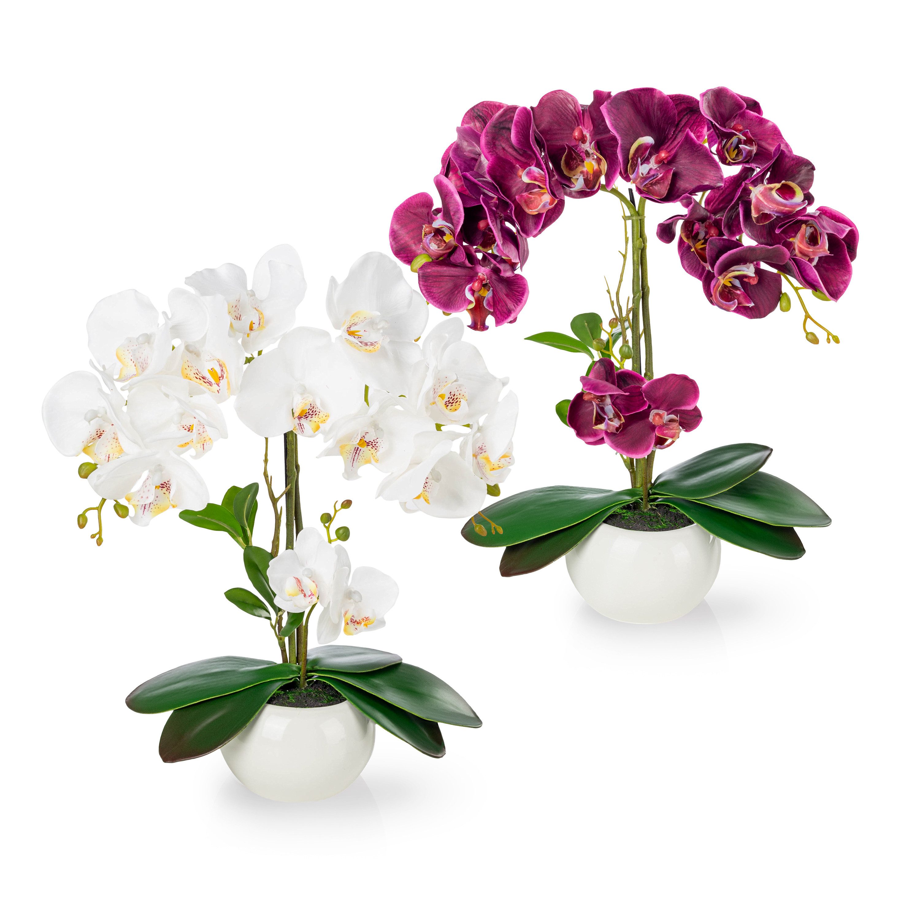 Kunstorchidee PASCH® Orchidee künstlich wie echt günstig online kaufen