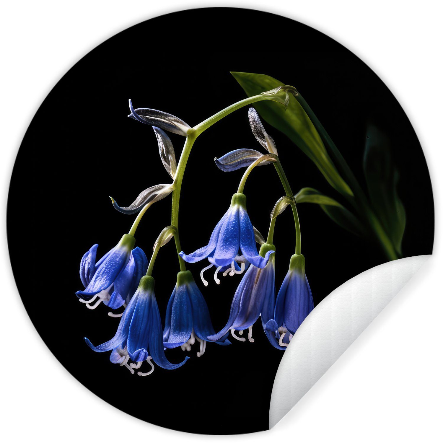 Blau - Kinderzimmer, Wandsticker St), für Hyazinthe Tapetenaufkleber, - Rund, Schwarz - Natur - Wohnzimmer Blumen Tapetenkreis MuchoWow (1