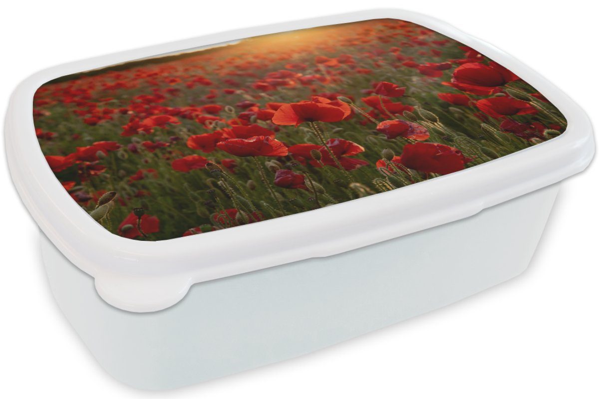 MuchoWow Lunchbox Blumen - Kunststoff, Brotbox weiß Jungs für (2-tlg), Mohn Kinder Erwachsene, - Rot, und Mädchen und Brotdose, für