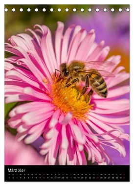 CALVENDO Wandkalender Bienen (Tischkalender 2024 DIN A5 hoch), CALVENDO Monatskalender