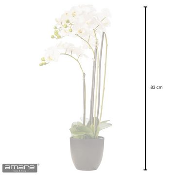 Künstliche Zimmerpflanze Dekopflanze Phalenopsis x4 im Resintopf, Amare home, Höhe 83 cm