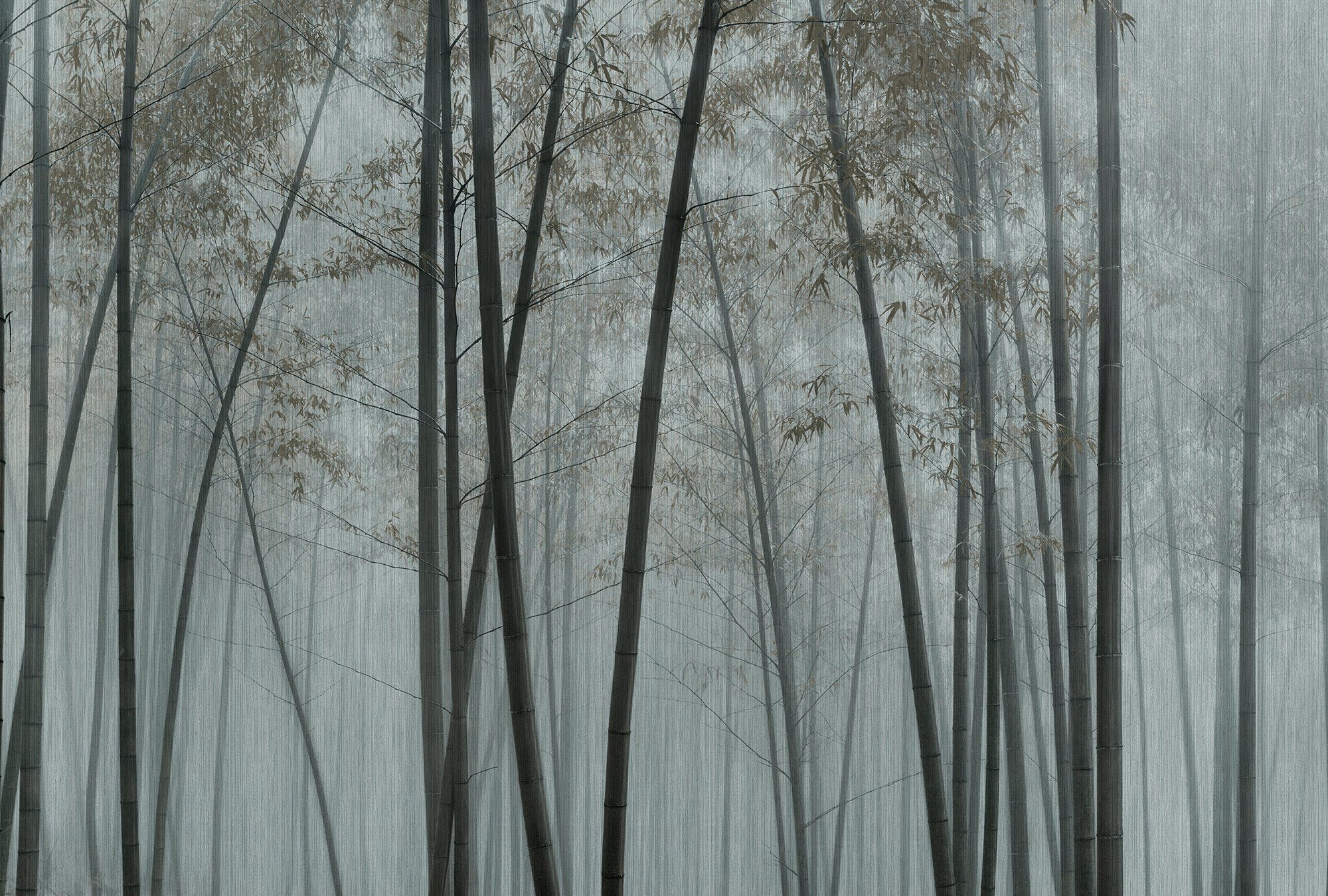 Walls Bamboo, Fototapete glatt, In Vlies, Patel by The walls Wand grau living