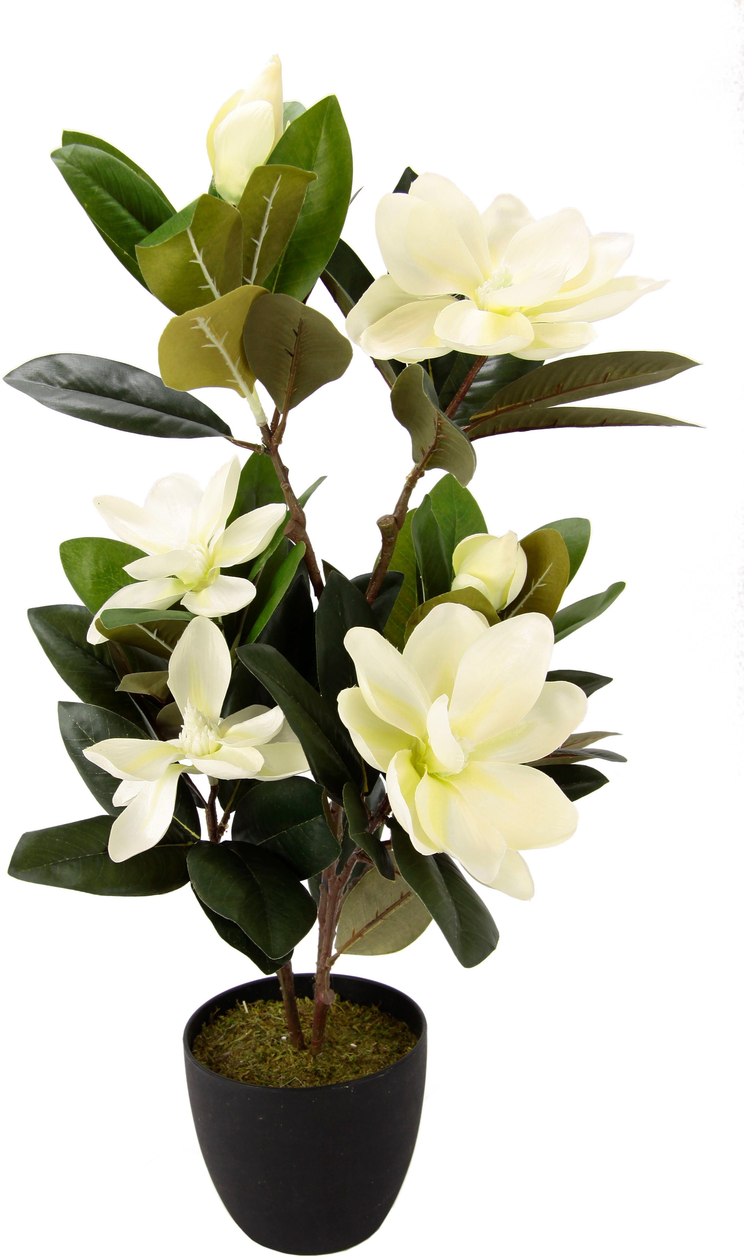 Kunstbaum Magnolienbusch, I.GE.A., Höhe 68 cm, günstig online kaufen