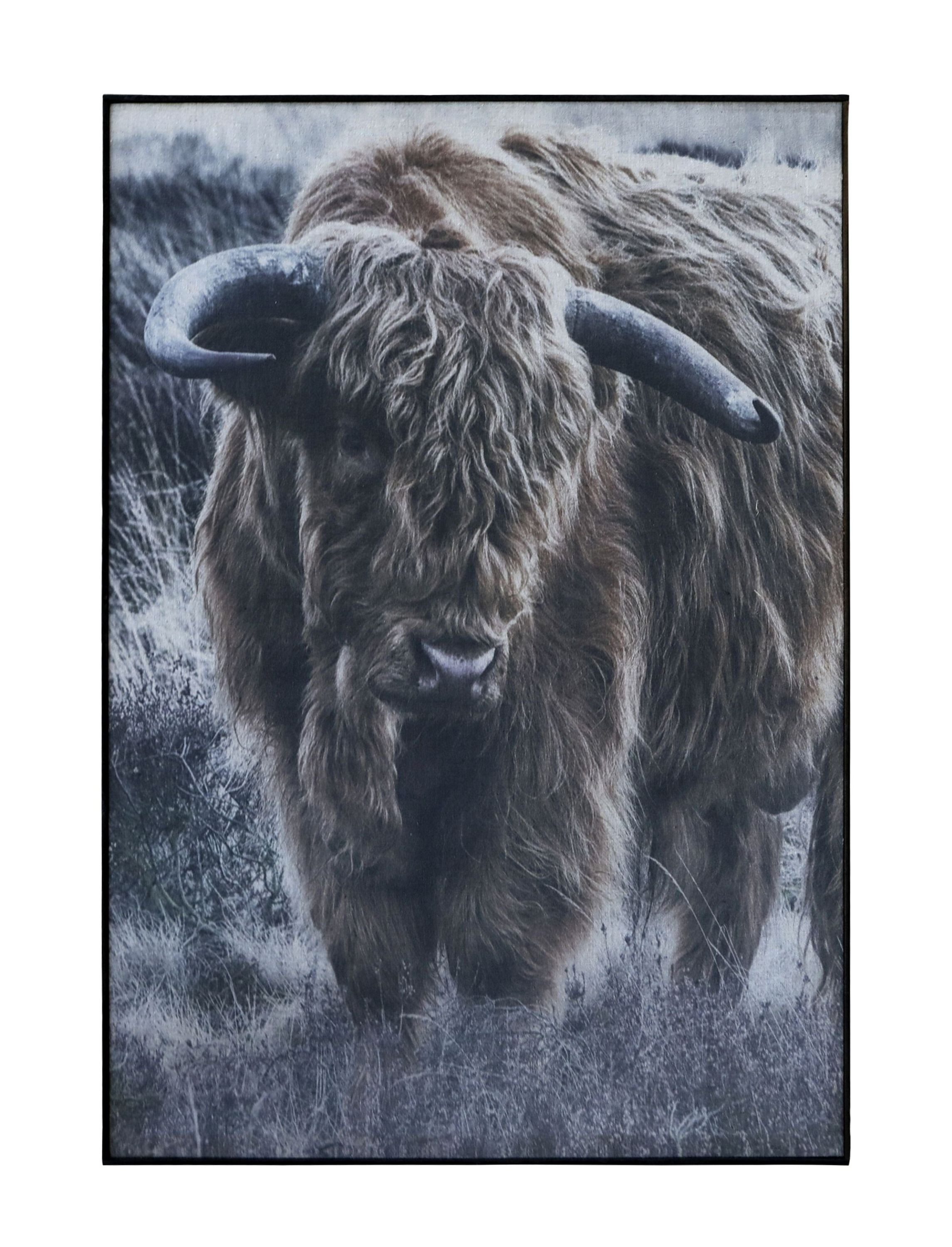 Chic Antique Wandbild Wandbild Bild Bison Leinwand Rahmen Holz Schwarz H53xL77cm Chic