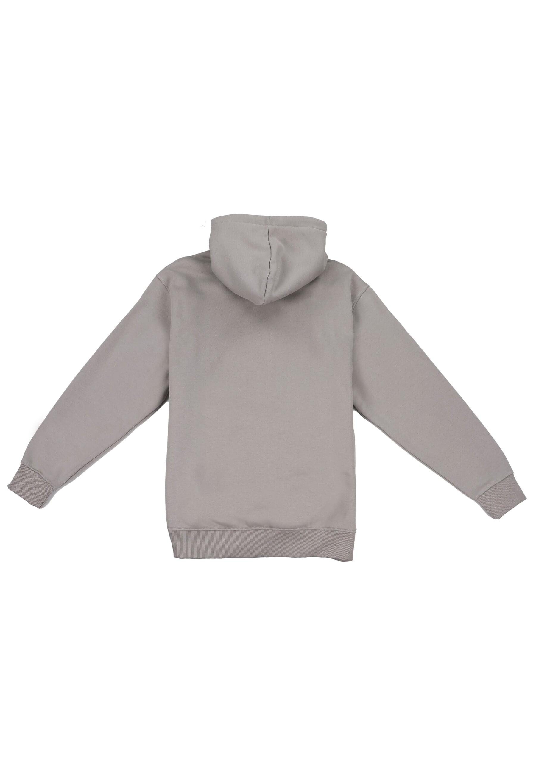 Dropsize Kapuzensweatshirt Dropsize Dropsize REGULAR FIT HOODIE (1-tlg) günstig online kaufen