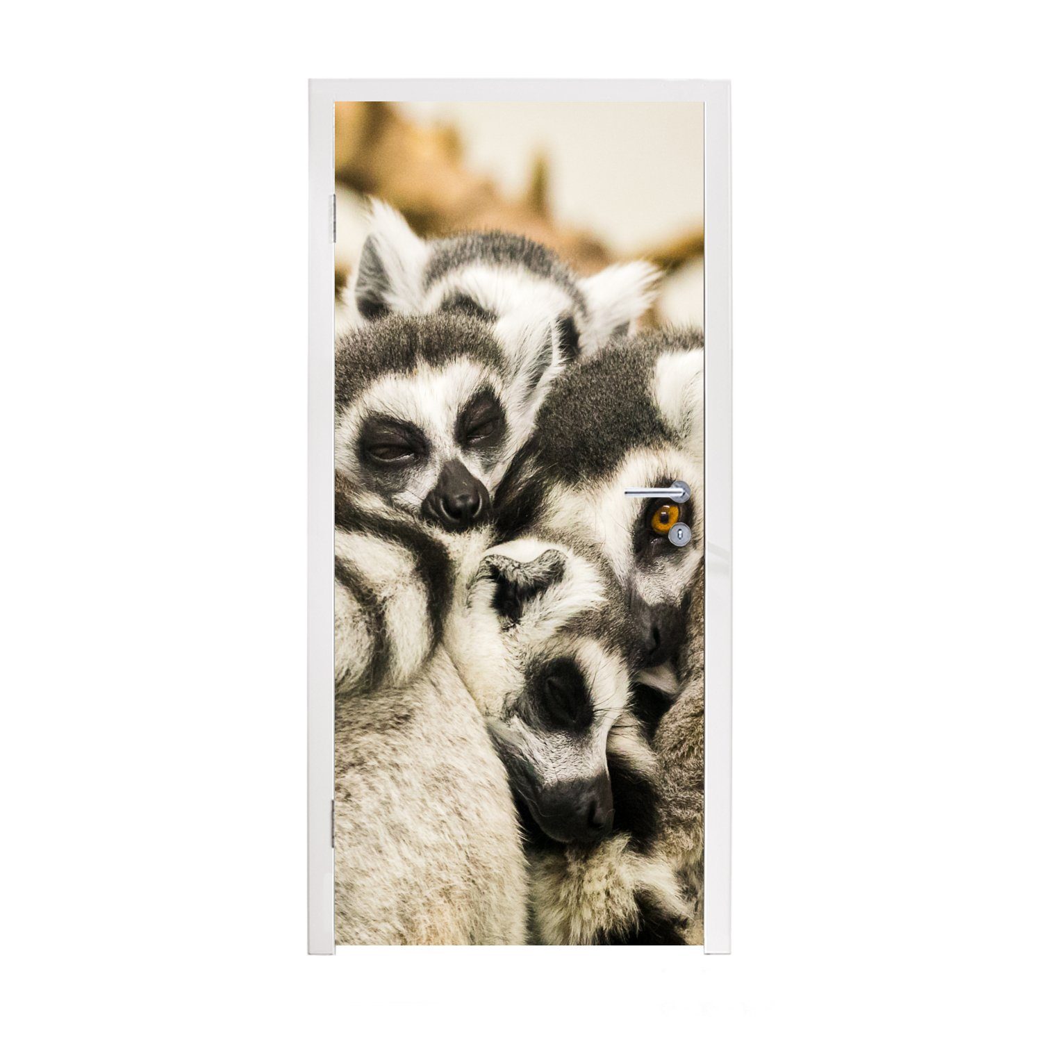 MuchoWow Türtapete Affen - Tiere - Ringelschwanzlemuren, Matt, bedruckt, (1 St), Fototapete für Tür, Türaufkleber, 75x205 cm | Türtapeten