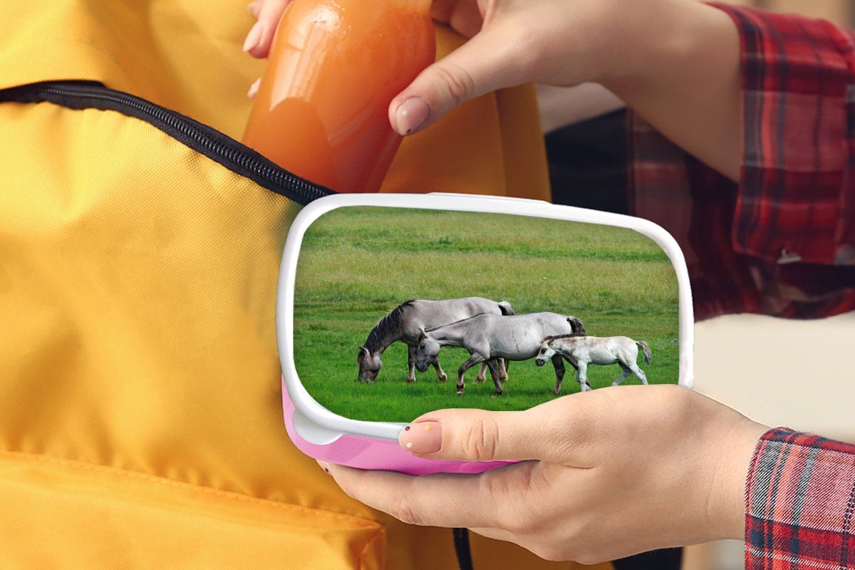 MuchoWow Lunchbox Pferde Gras, Snackbox, Mädchen, Kinder, rosa (2-tlg), Brotdose - Erwachsene, für Kunststoff, Kunststoff - Tiere Brotbox