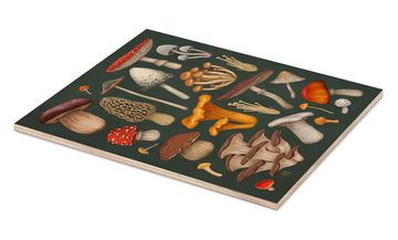 Posterlounge Holzbild Vasilisa Romanenko, Pilze, Küche Natürlichkeit Illustration