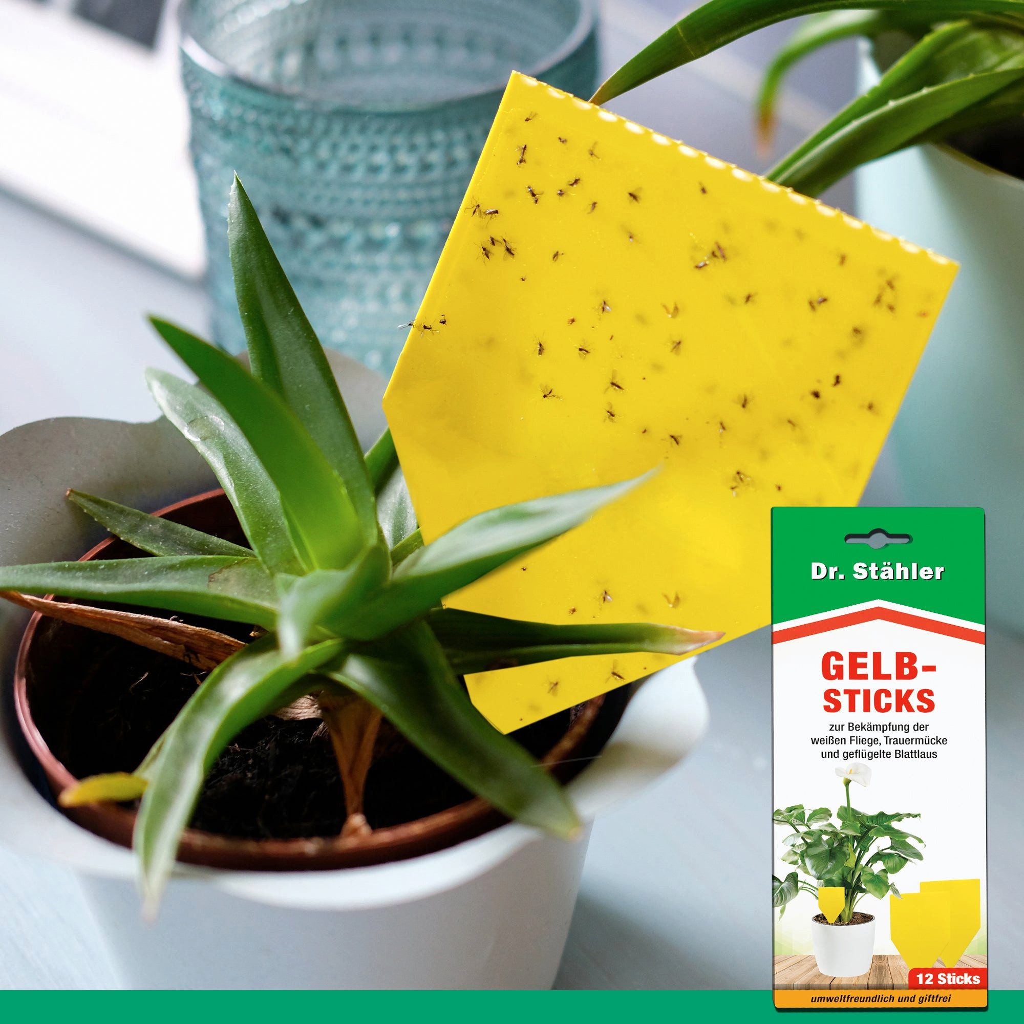 Silberkraft Insektenfalle Effektive Gelb...