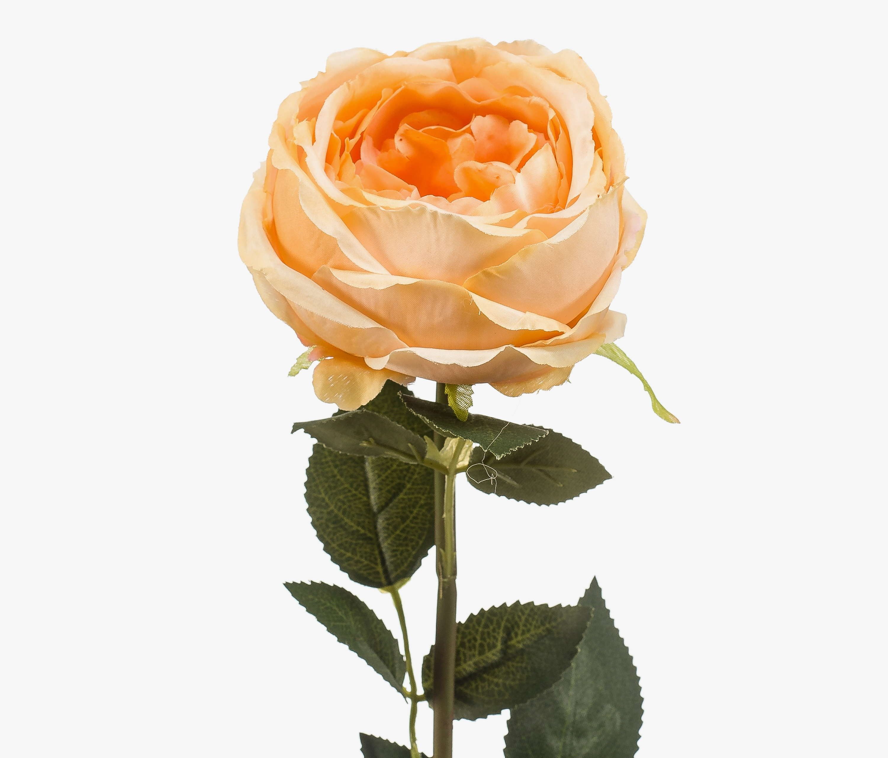 Kunstblume Kunst Rose THYRI, pfirsich, 65cm Rose, artplants, Höhe 65.0 cm