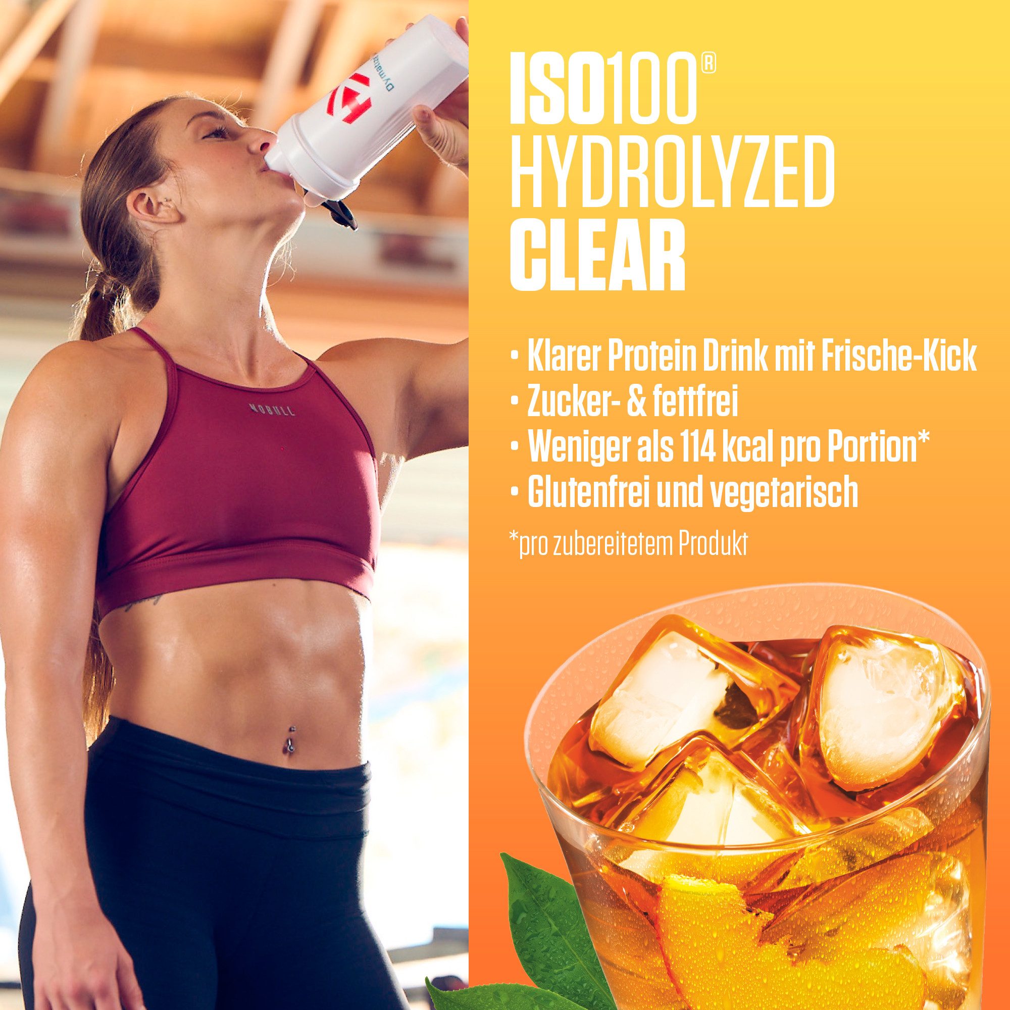 Dymatize ISO 100 Hydrolized Clear Peach Ice Tea 528g Whey Protein Pulver Pulver, 1 er 1 St., 528 g