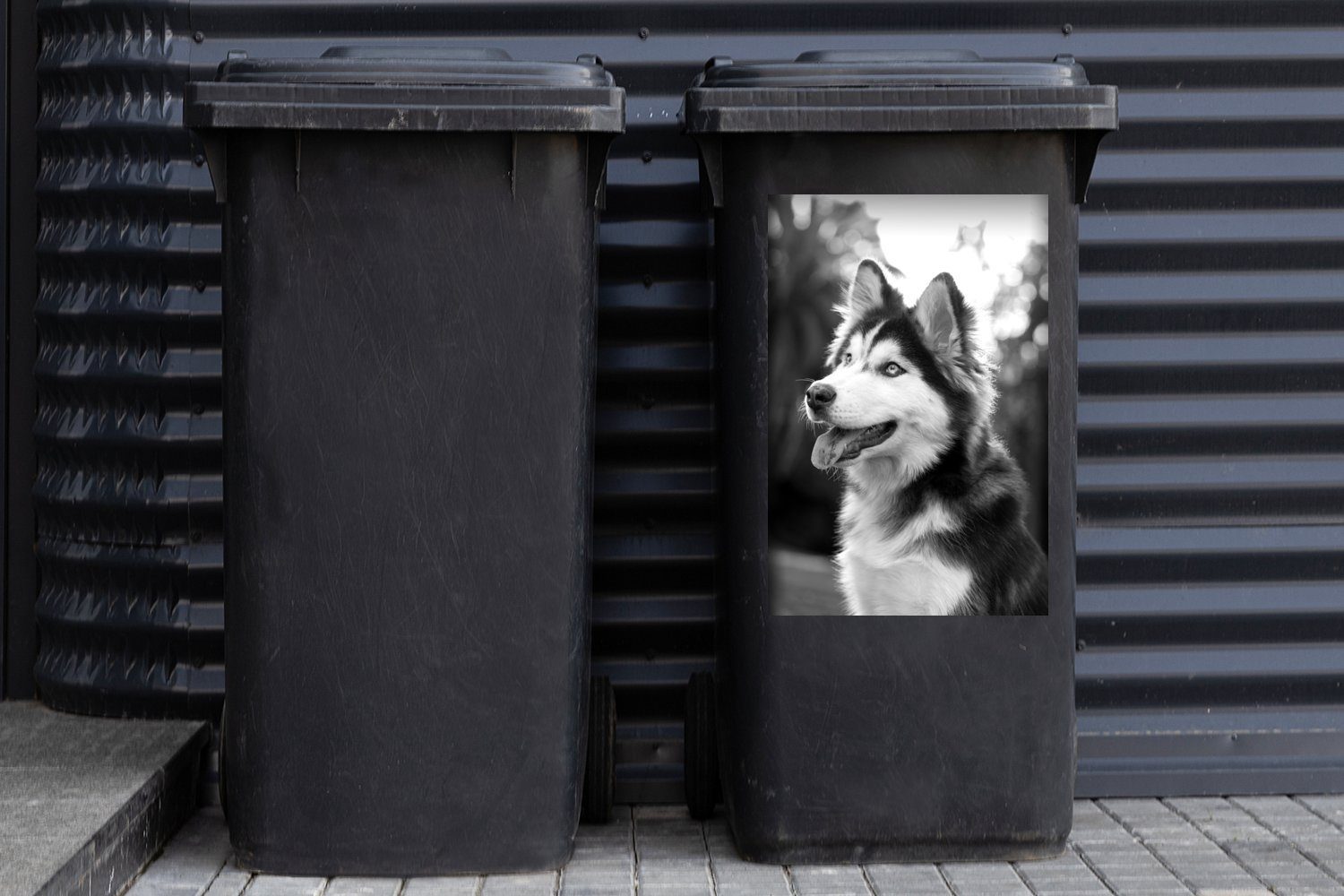 Abfalbehälter und Park (1 Mülltonne, schwarz Mülleimer-aufkleber, Wandsticker St), weiß Container, Husky im Sticker, MuchoWow -