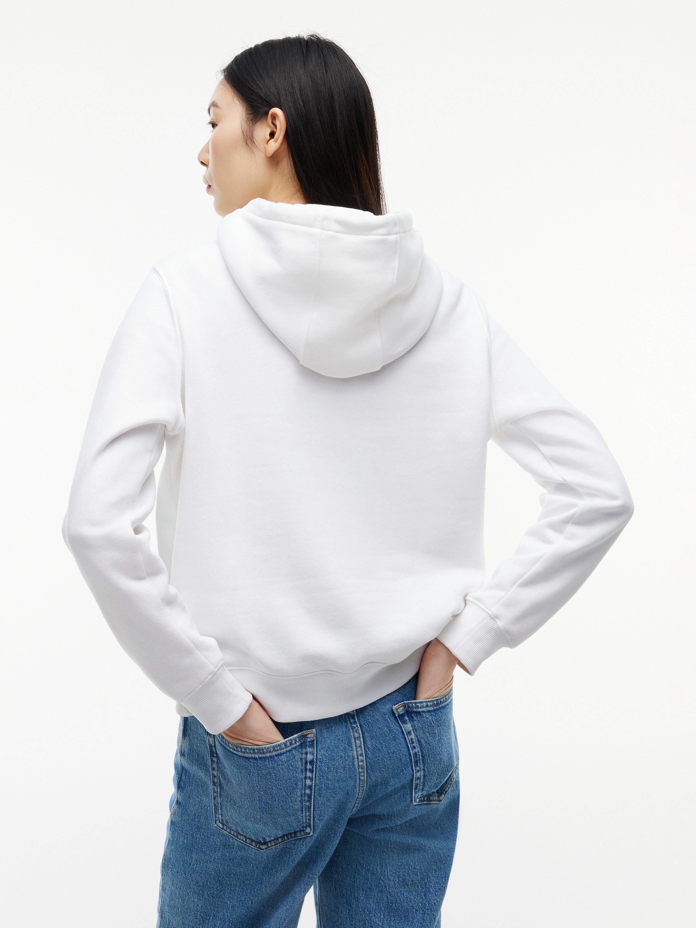 Tommy Jeans Kapuzensweatshirt TJW REG S FLAG HOODIE mit Logo-Flag, Regular Fit