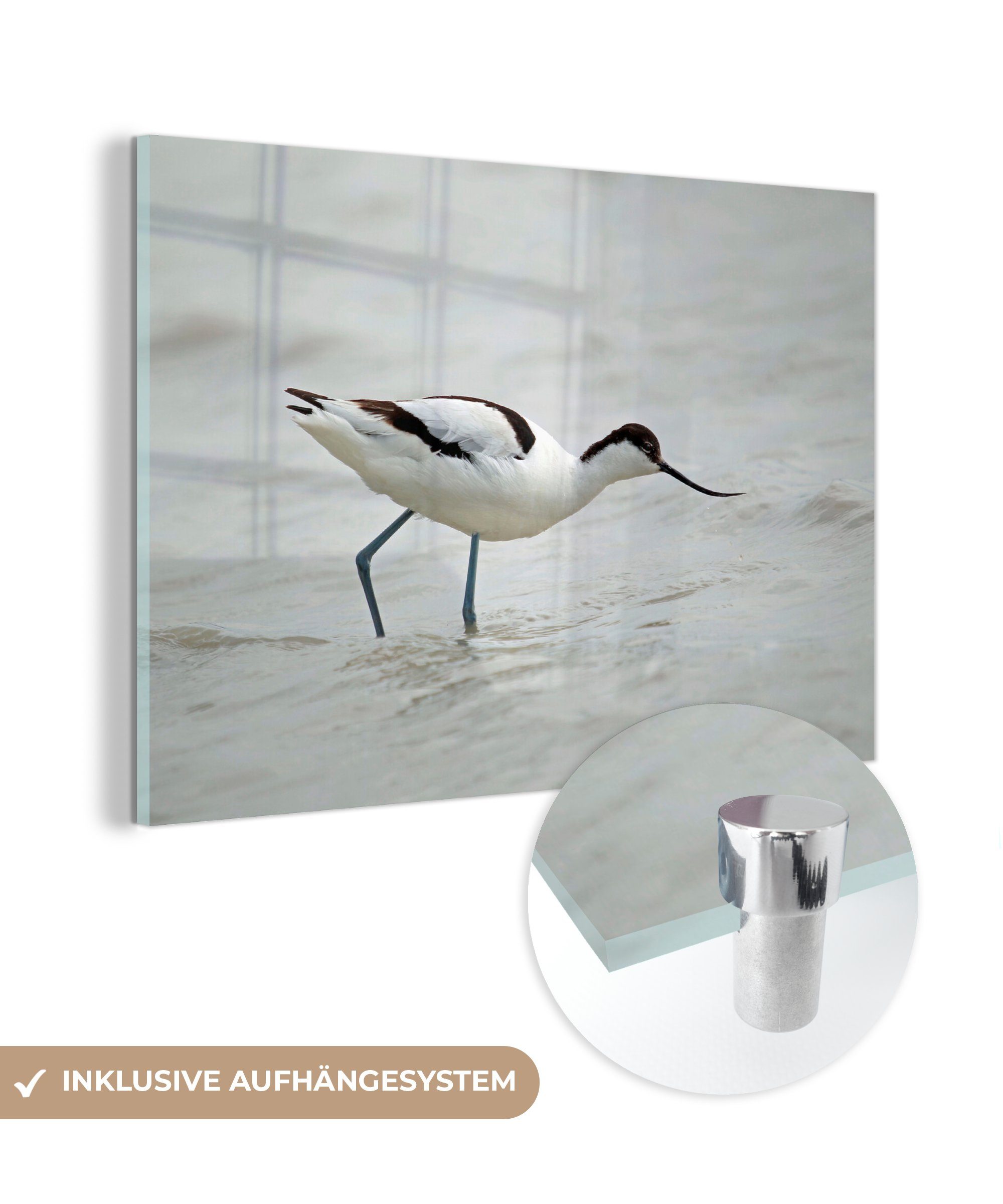 MuchoWow Acrylglasbild Haubentaucher im fließenden Wasser, (1 St), Acrylglasbilder Wohnzimmer & Schlafzimmer | Bilder