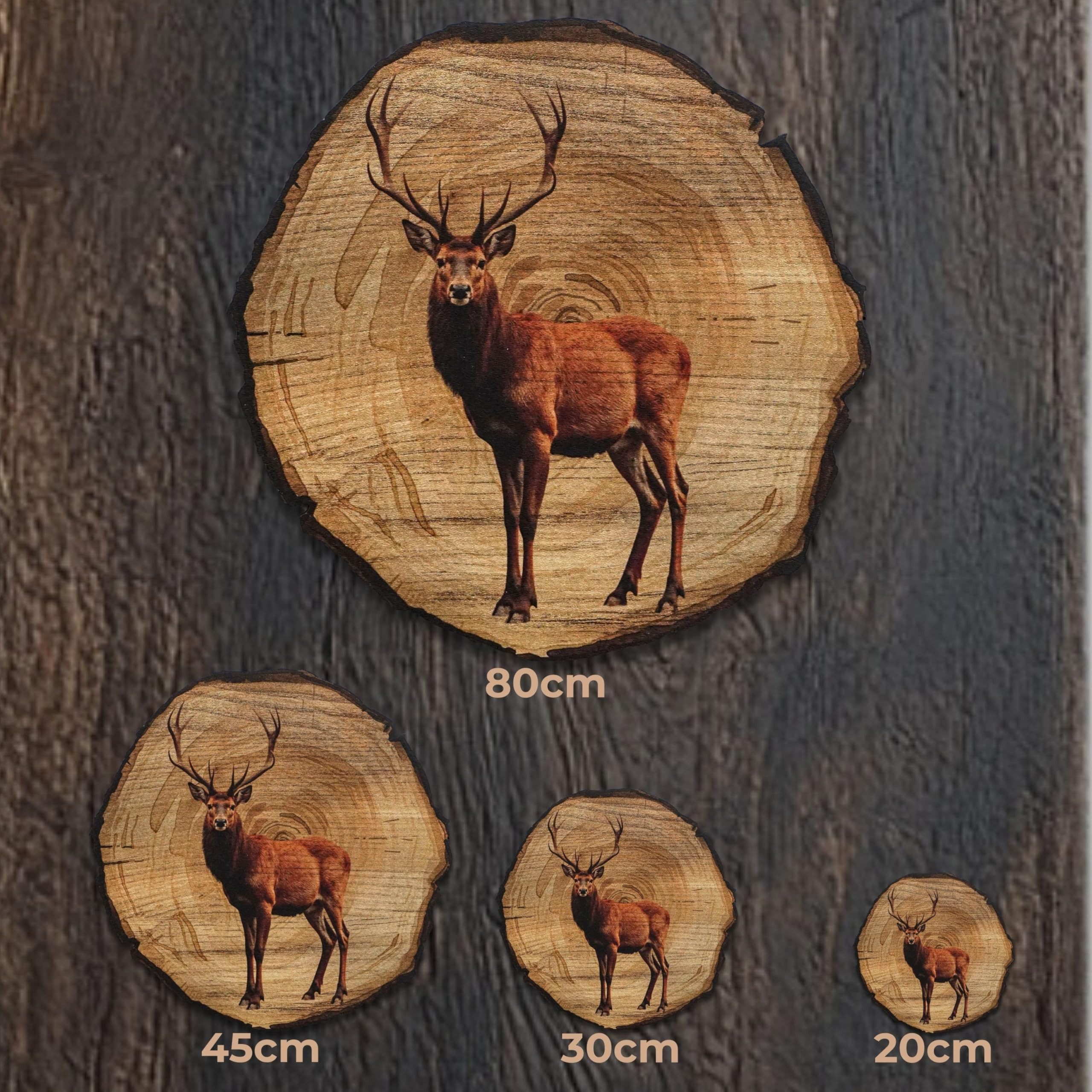 DARO Design Wandbild Tiere Holzoptik Wandbilder Wand Deko Bilder Vintage, (Hirsch - Bild klein Wohnzimmer Flur Schlafzimmer Diele Arbeitszimmer Einteilig Rund F – Bild 3 von 5