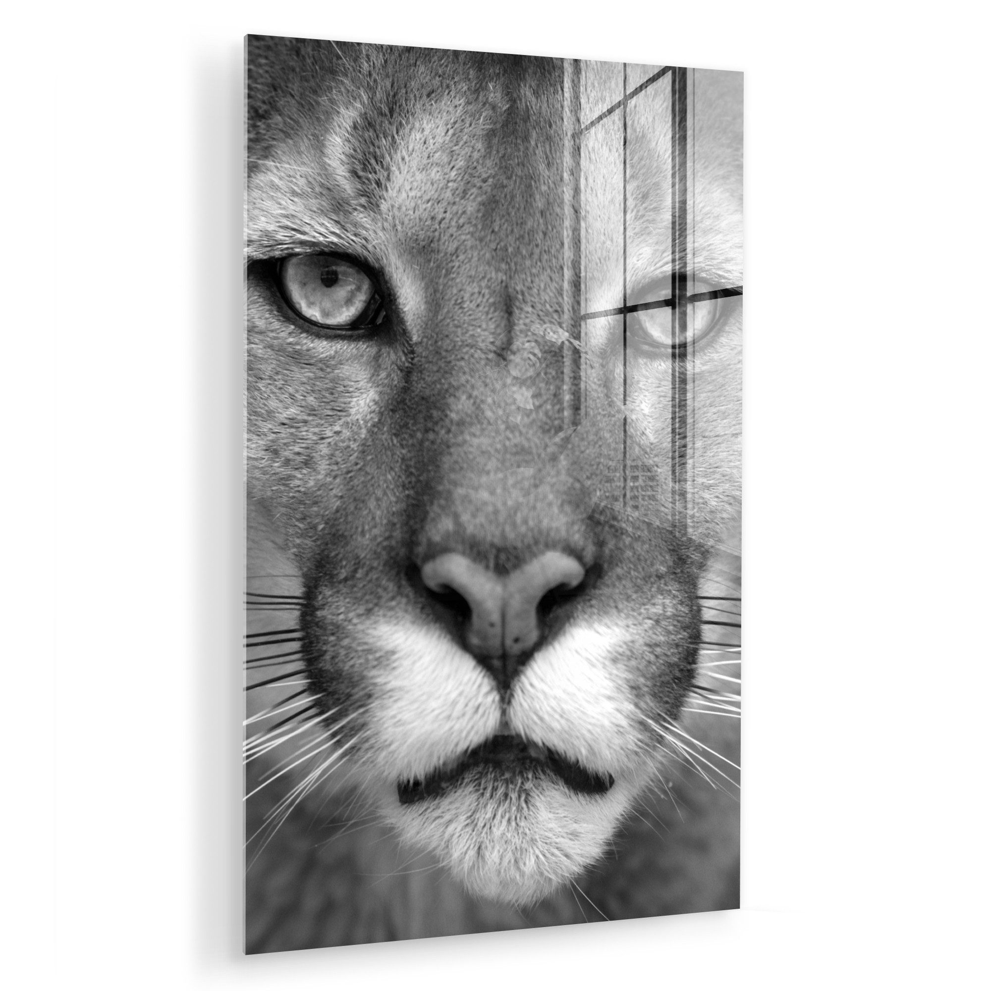MuchoWow Acrylglasbild Panther - Wildlife - günstig online kaufen