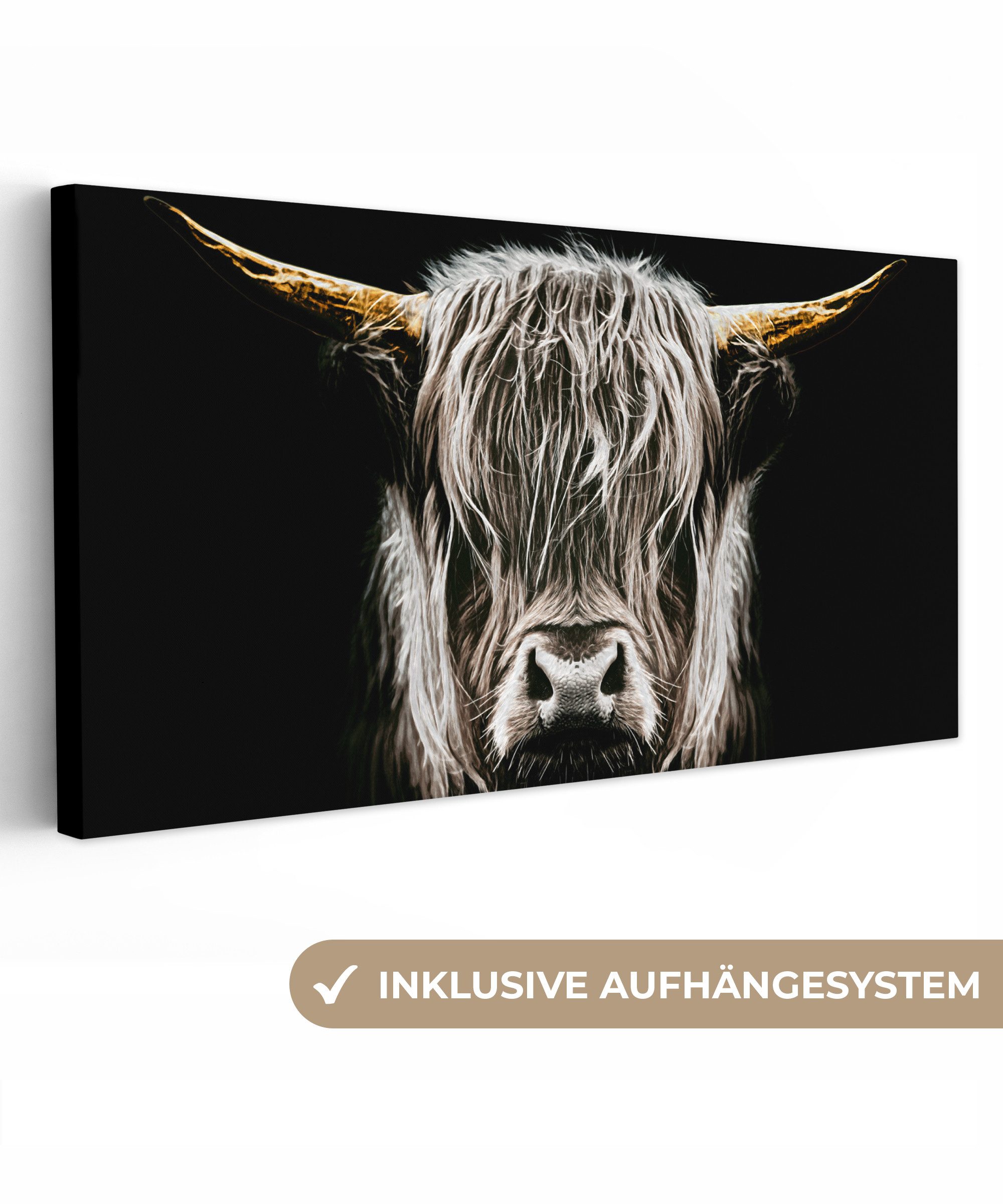 Schottischer Highlander - Gold - Hörner - Schwarz und weiß - Kuh - Tiere