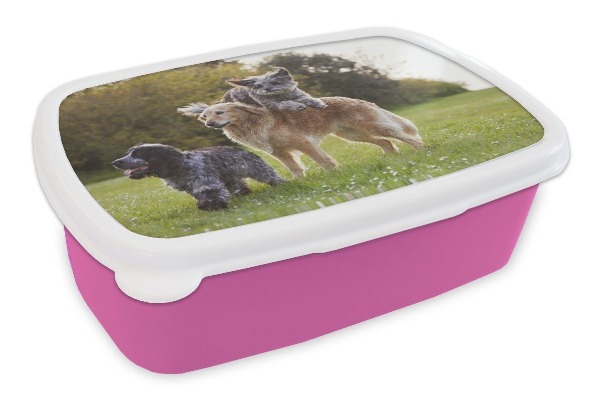 Park MuchoWow Kunststoff - Brotdose Mädchen, Erwachsene, Gras, Kinder, für Lunchbox rosa Snackbox, - Hund Brotbox Kunststoff, (2-tlg),