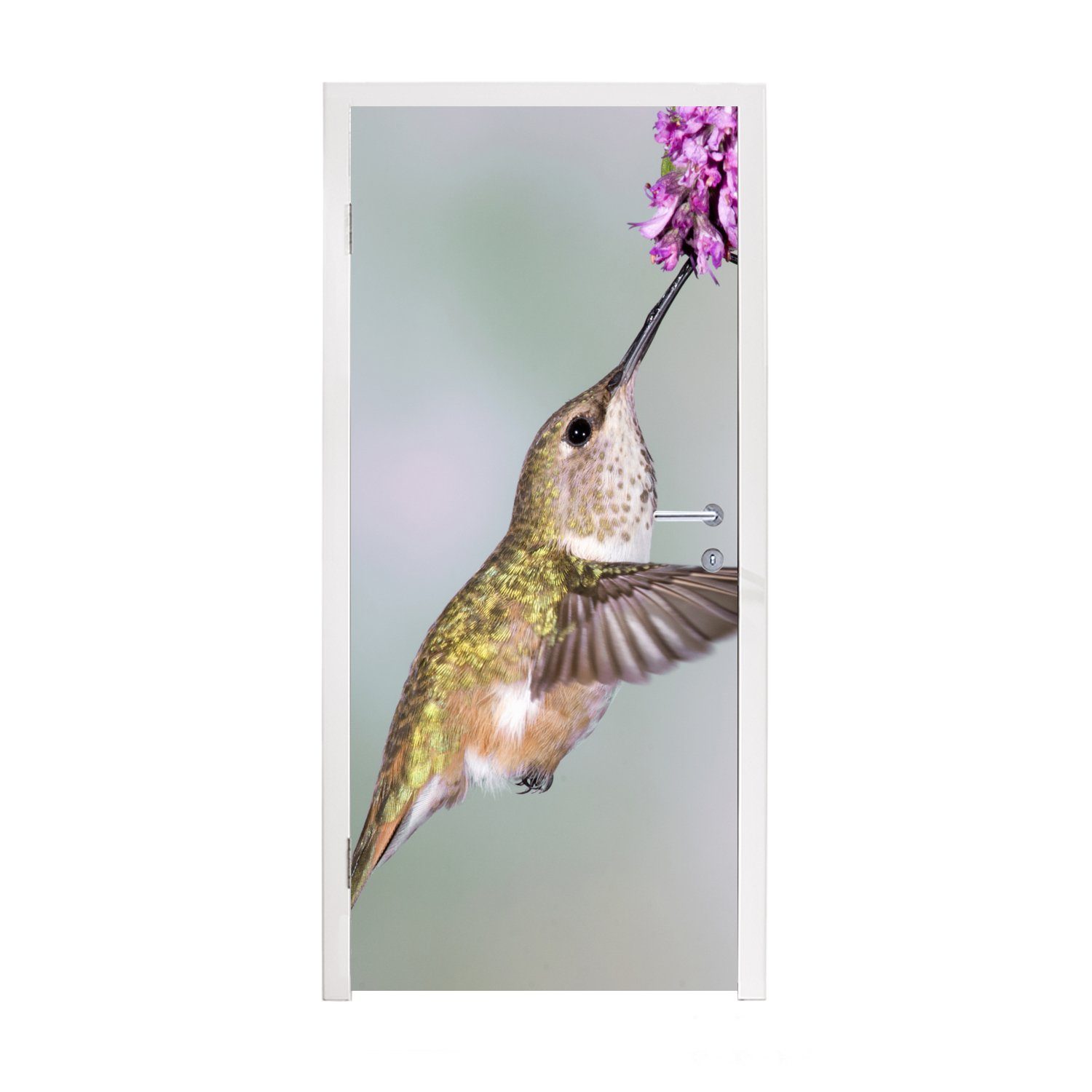 MuchoWow Türtapete Kolibri - Vögel - Pflanze, Matt, bedruckt, (1 St), Fototapete für Tür, Türaufkleber, 75x205 cm