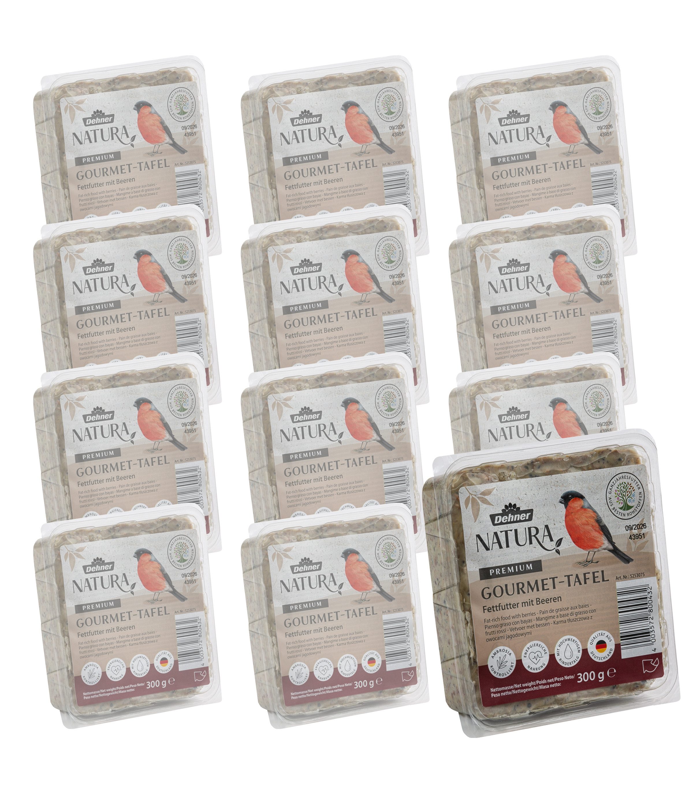 Dehner Natura Premium Beeren-Futtertafel, Wildvogelfutter, 12 x 300 g, Hauptfutter für: Wildvogel, Gartenvögel, hochwertiges Fettfutter, energiereiches Ganzjahresfutter