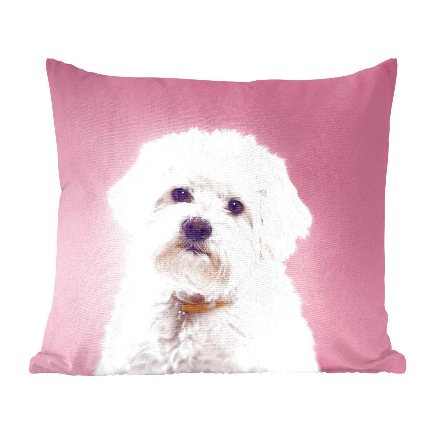 rosa Hintergrund, Zierkissen Wohzimmer, Deko, Malteser für MuchoWow Dekokissen Füllung Hund mit mit Schlafzimmer, Sofakissen