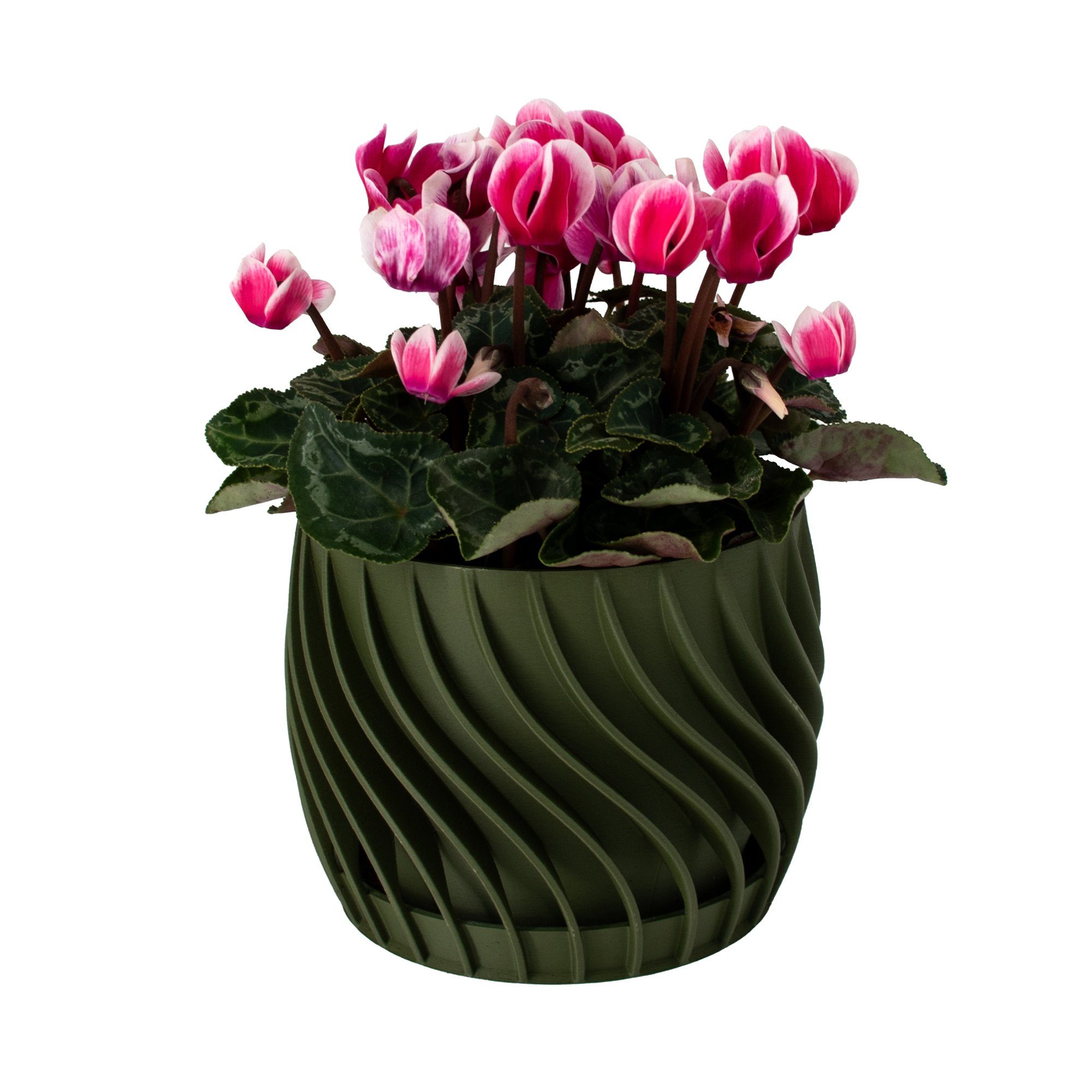 Shapes - Decorations Blumentopf The Plant günstig online kaufen