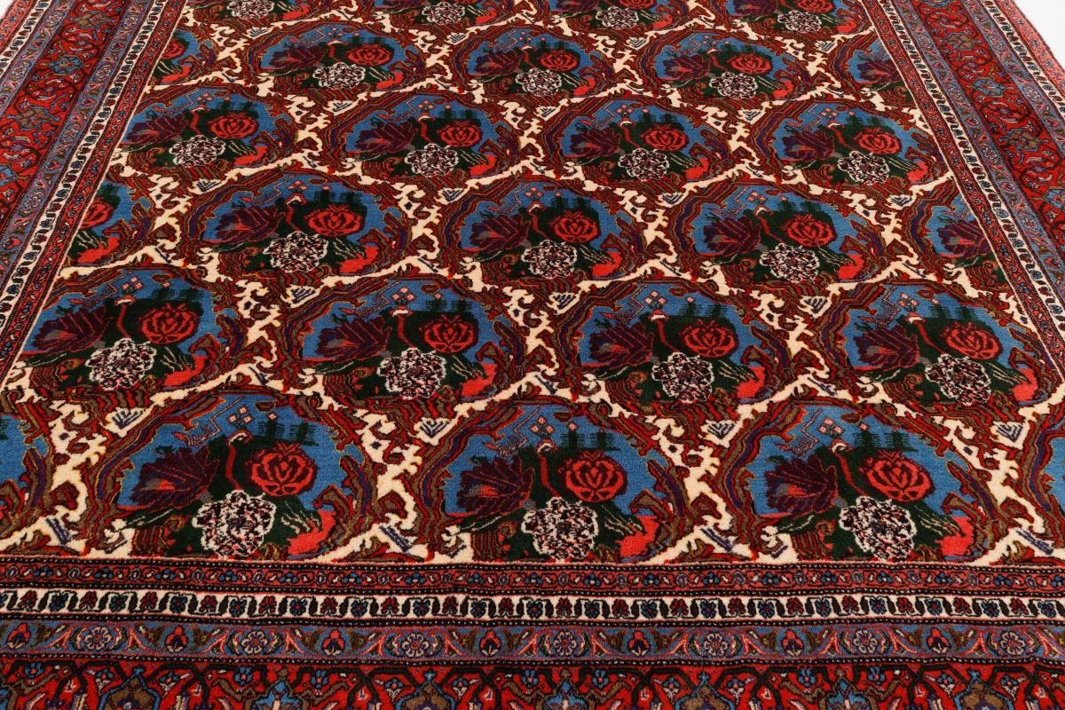 Orientteppich Orientteppich Senneh Perserteppich, mm 12 251x349 rechteckig, / Nain Höhe: Handgeknüpfter Trading,