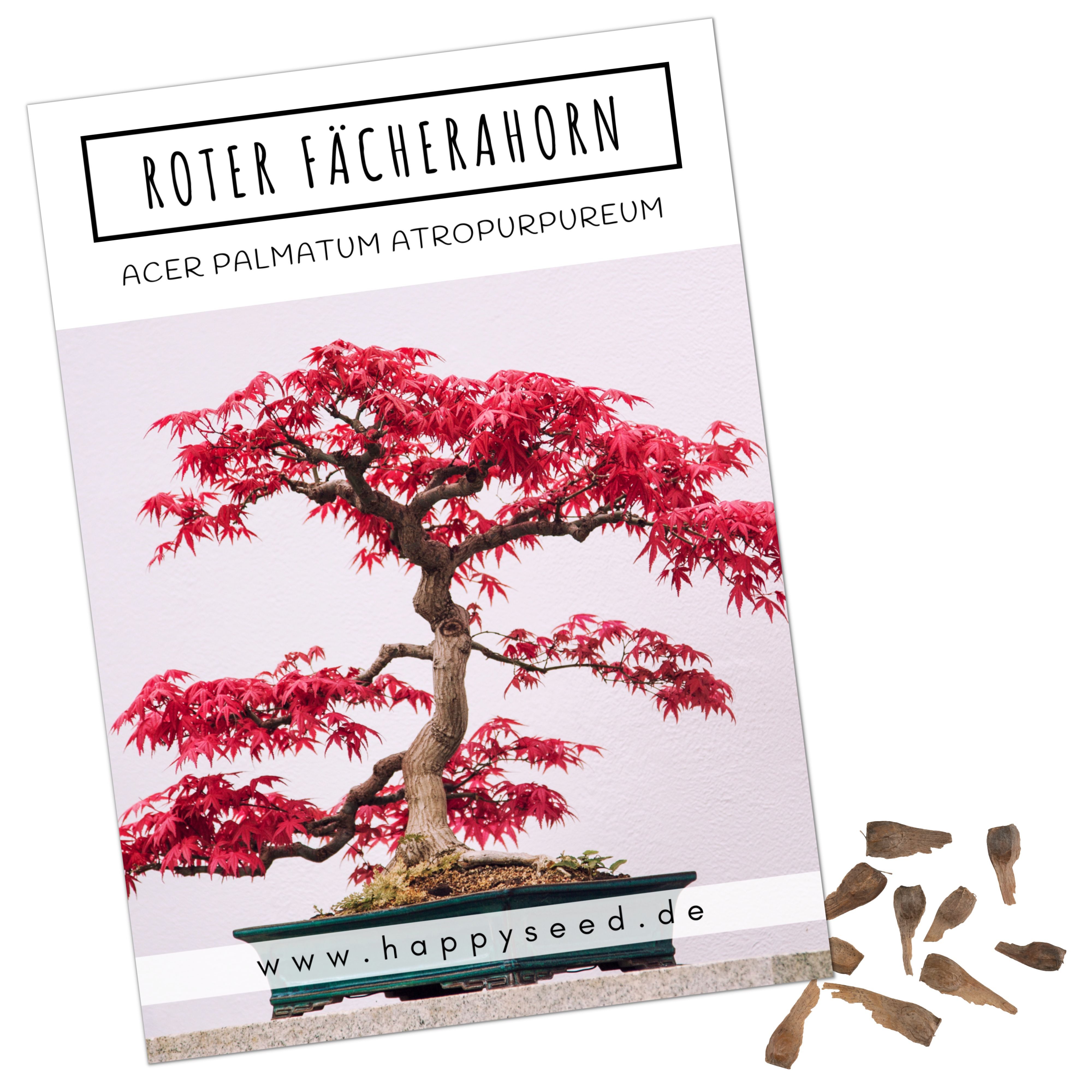 HappySeed Blumensamen Außergewöhnliche Bonsai Samen mit hoher Keimrate - Ro günstig online kaufen