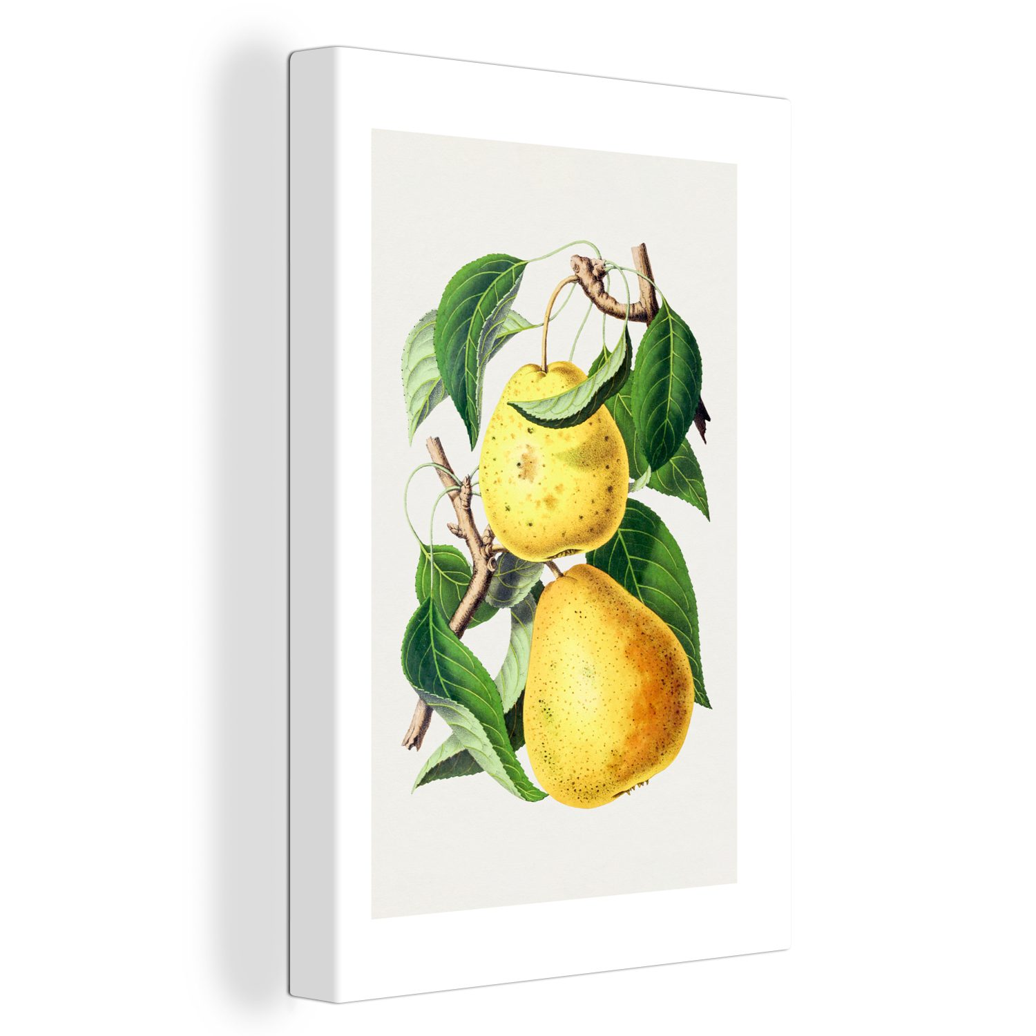 OneMillionCanvasses® Leinwandbild Birnen - Lebensmittel - Obst, (1 St), Leinwandbild fertig bespannt inkl. Zackenaufhänger, Gemälde, 20x30 cm