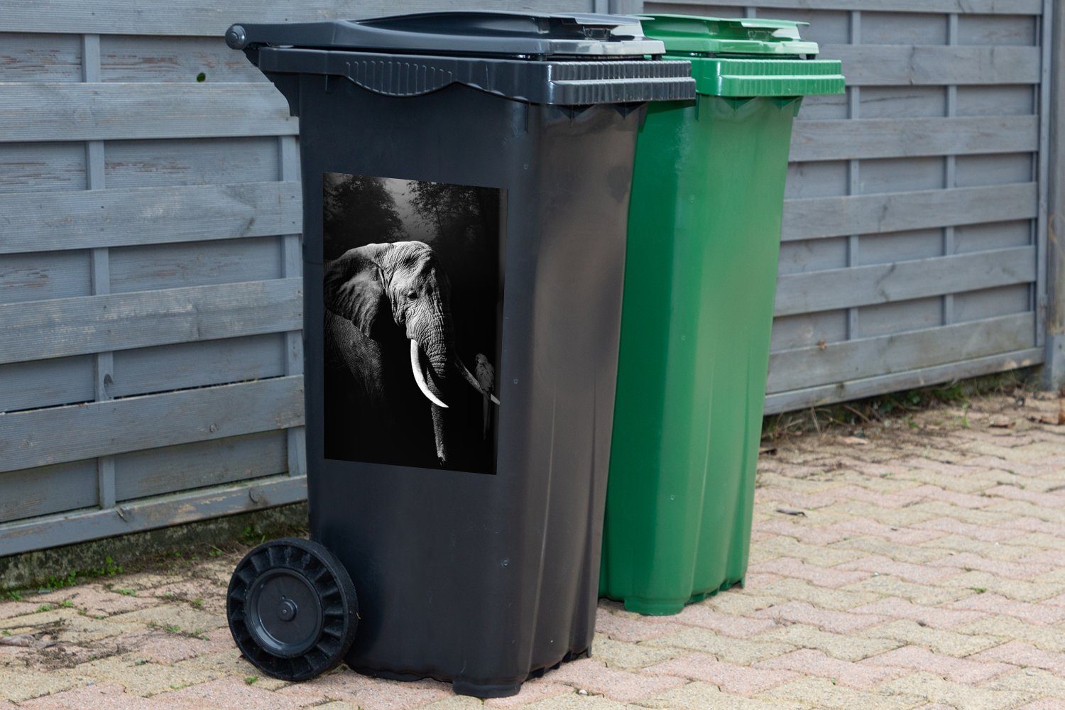 MuchoWow Wandsticker Elefant mit Papagei im Mülltonne, weiß Wald (1 St), und schwarz Abfalbehälter Mülleimer-aufkleber, Sticker, - Container