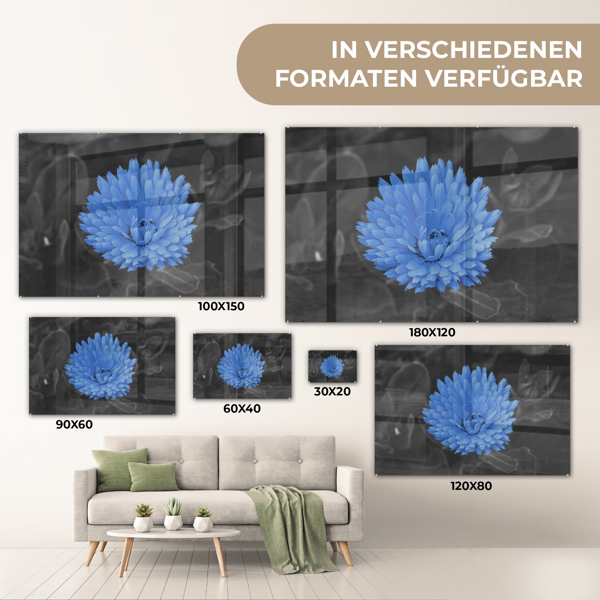 Wanddekoration - - Weiß Foto Wandbild auf Blau, Acrylglasbild - MuchoWow St), Bilder (1 Glasbilder Schwarz Blumen auf - Glas - Glas -