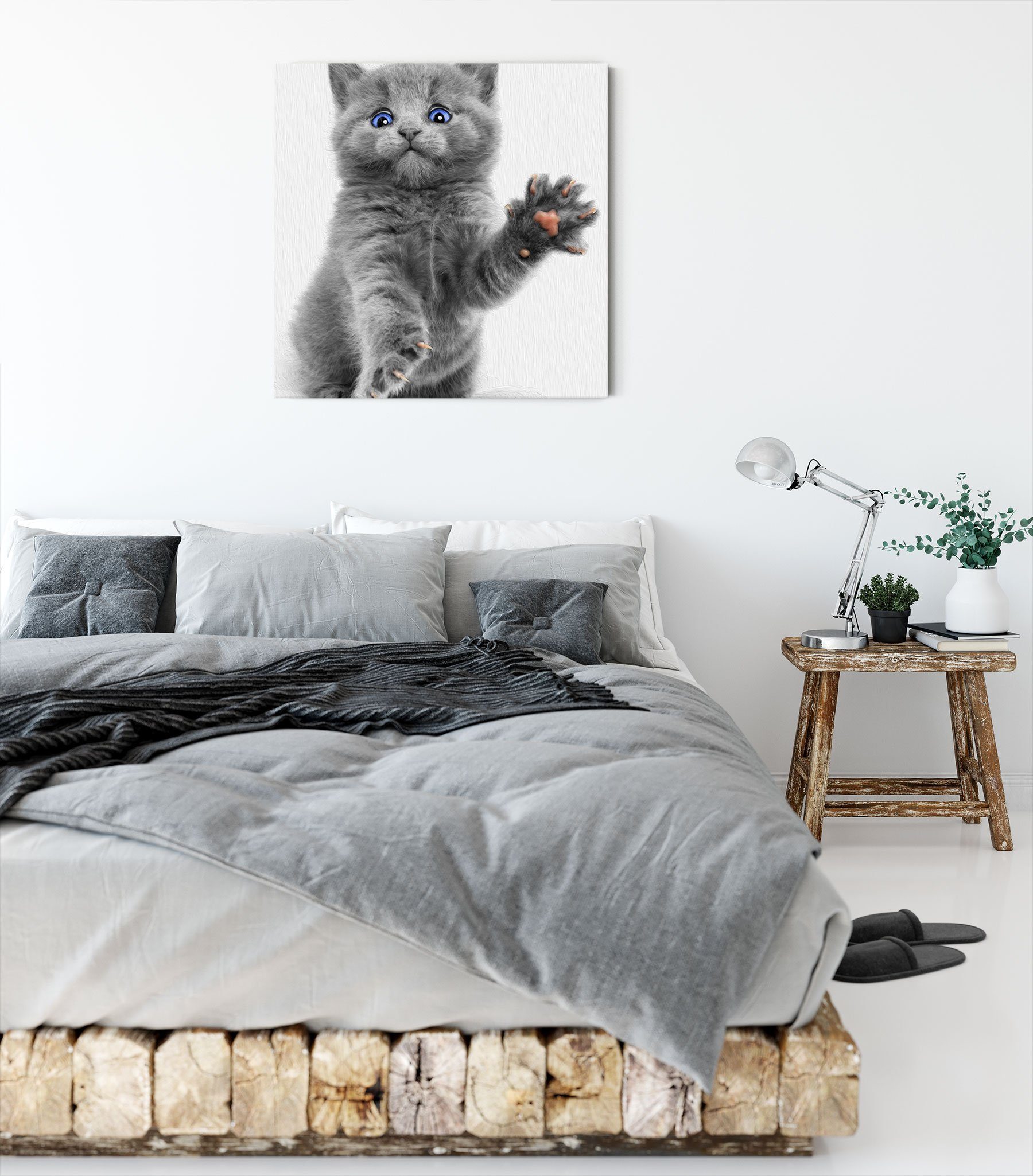 Pixxprint Leinwandbild süße kleine Leinwandbild Katze, St), Blau süße russisch Zackenaufhänger bespannt, fertig kleine blaue (1 inkl
